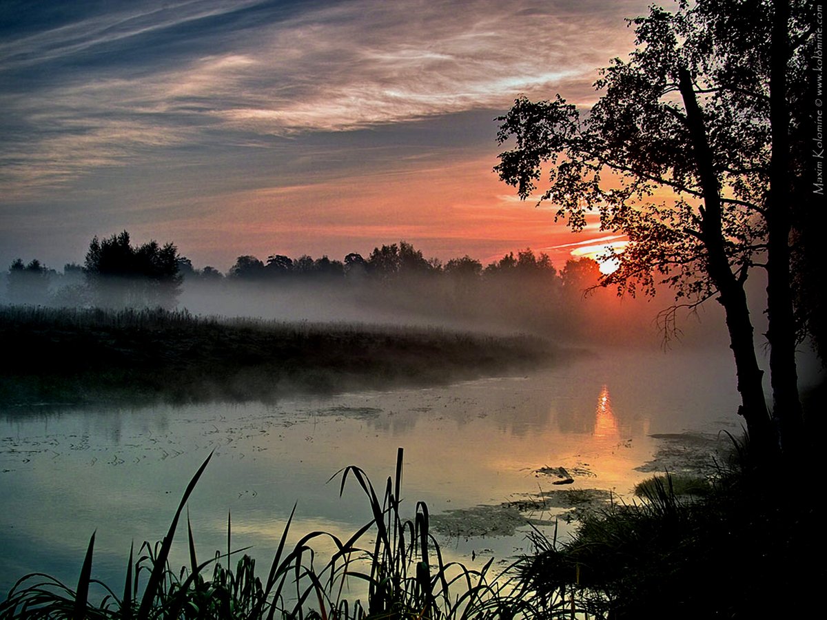 День угасал и в лесу начало темнеть. Афанасий Фет туманное утро. Утро на берегу реки. Что такое Заря в природе. Туман над рекой.