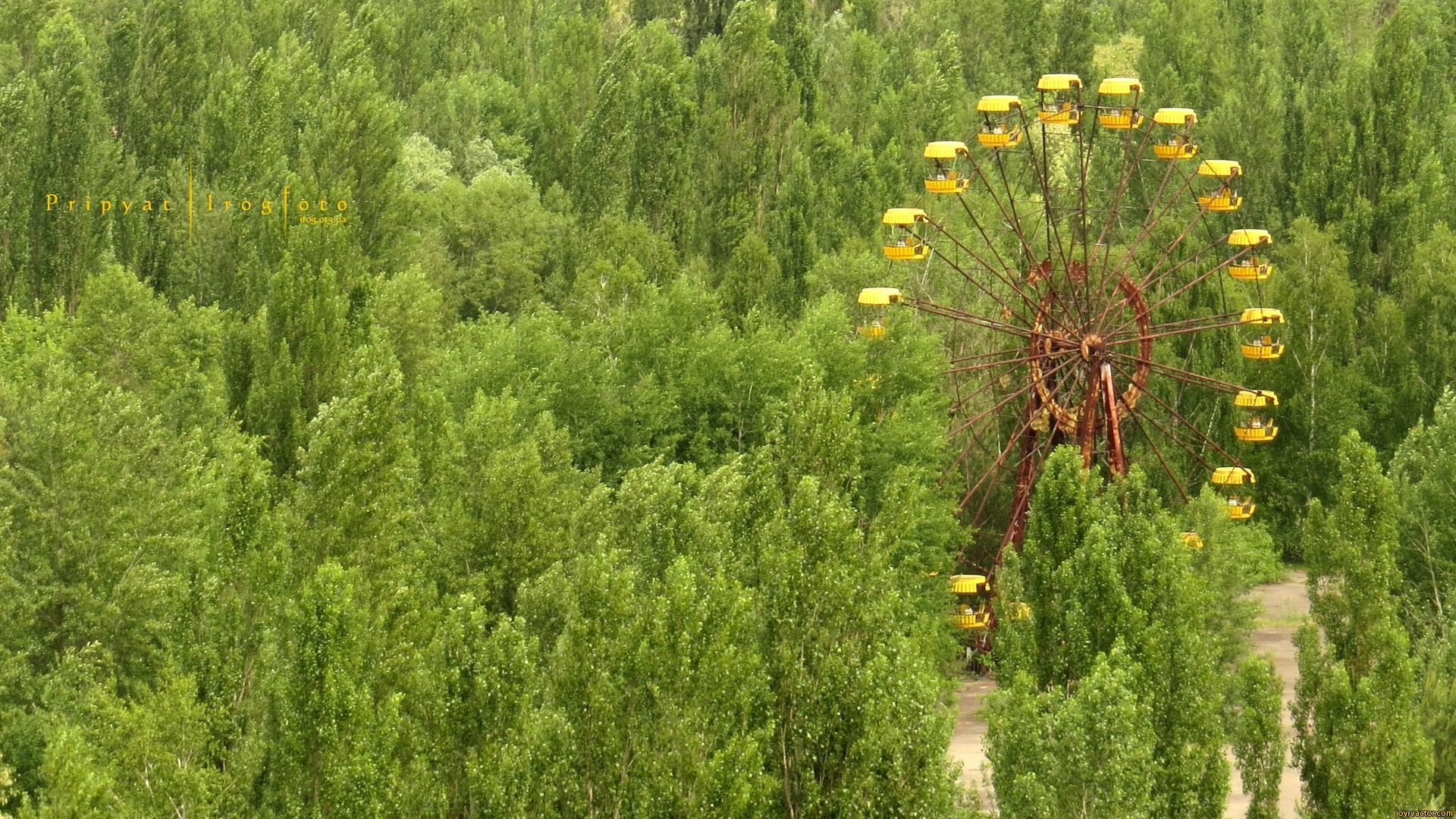 Чернобыль зона отчуждения природа