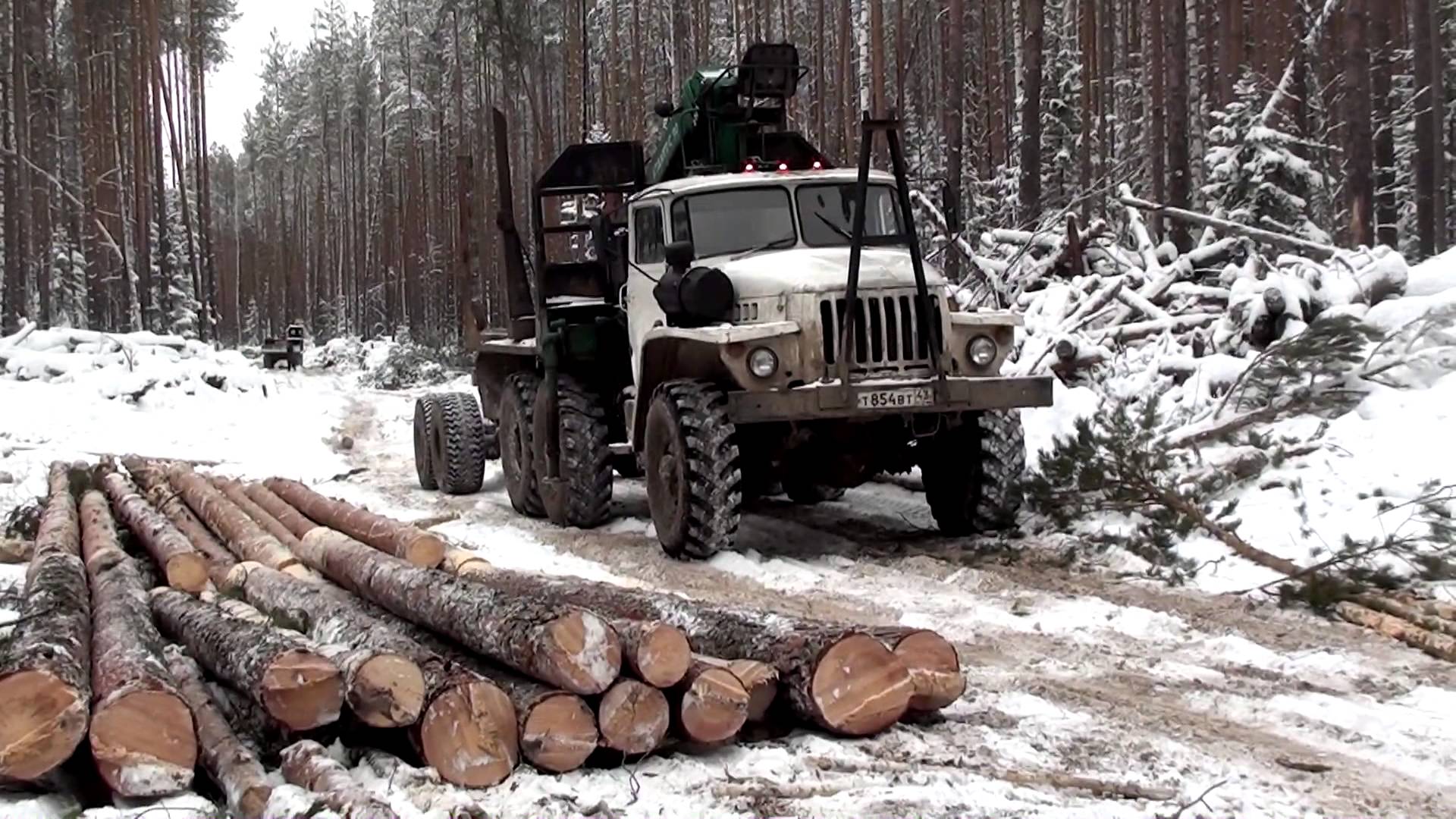 Лесовоз Урал с лесом