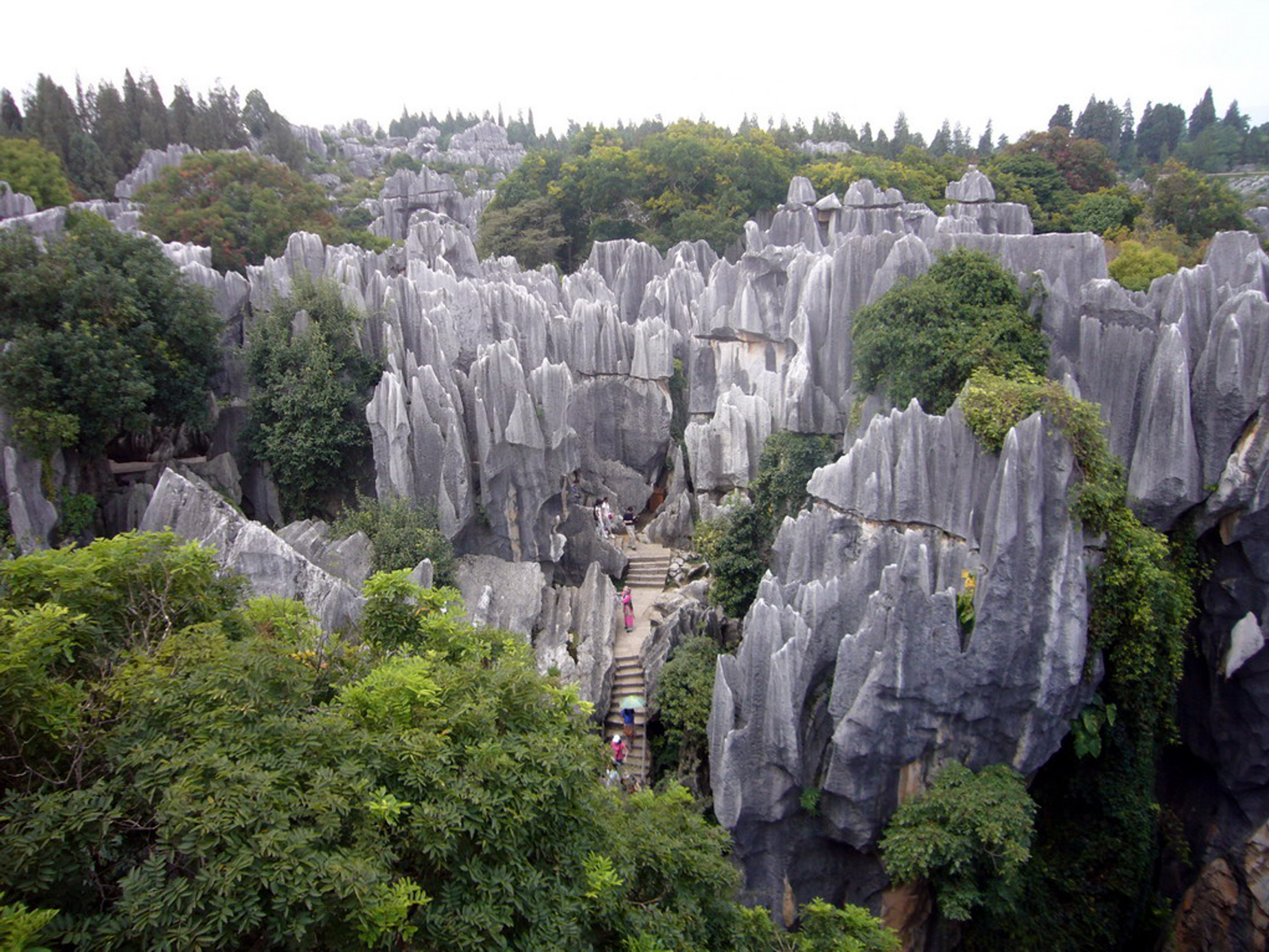 Национальный парк Шилинь (каменный лес)