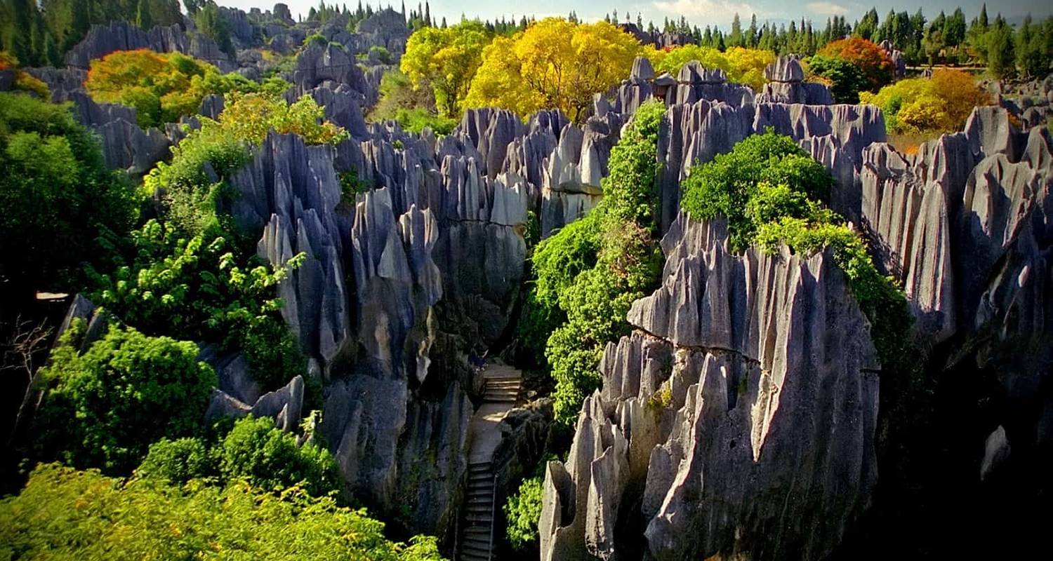 Национальный парк каменный лес в китае фото