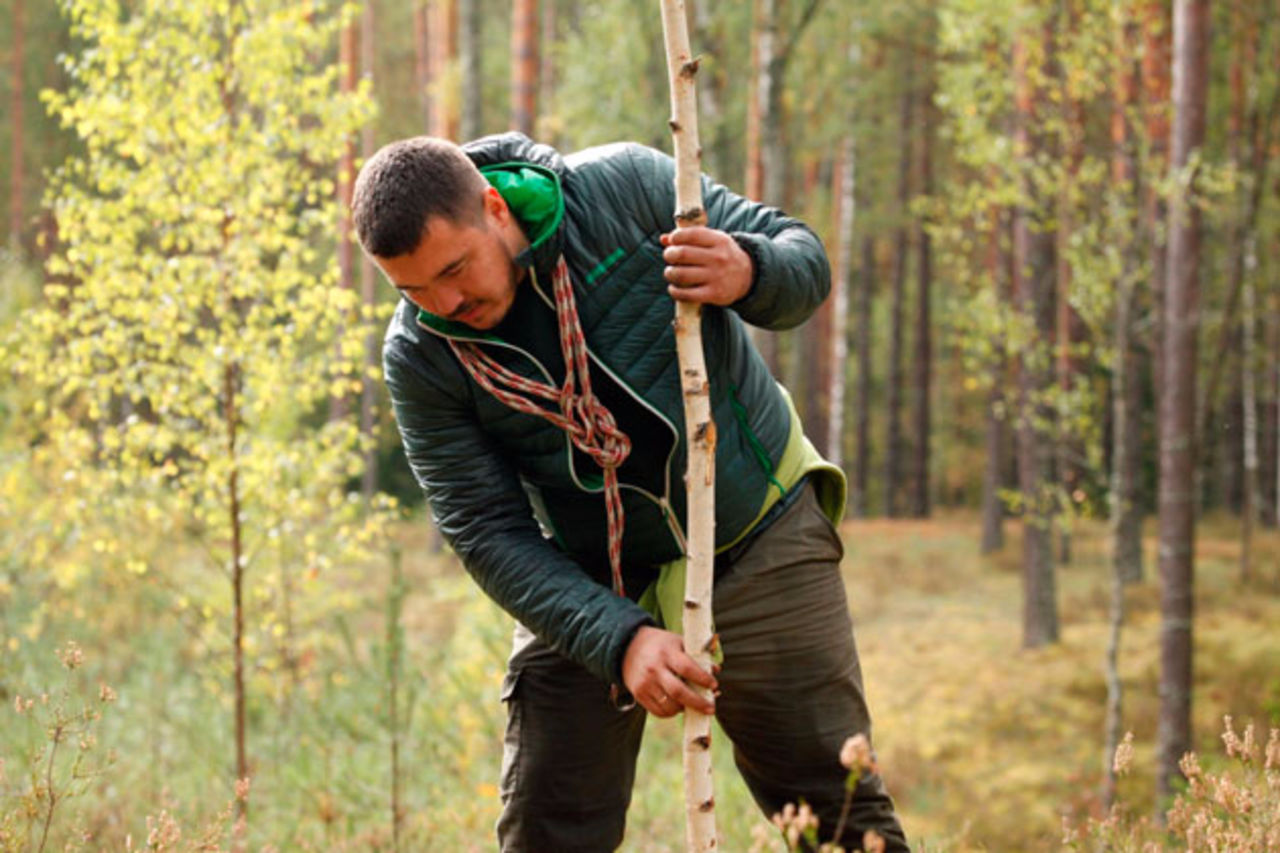 Как человек помогает лесу