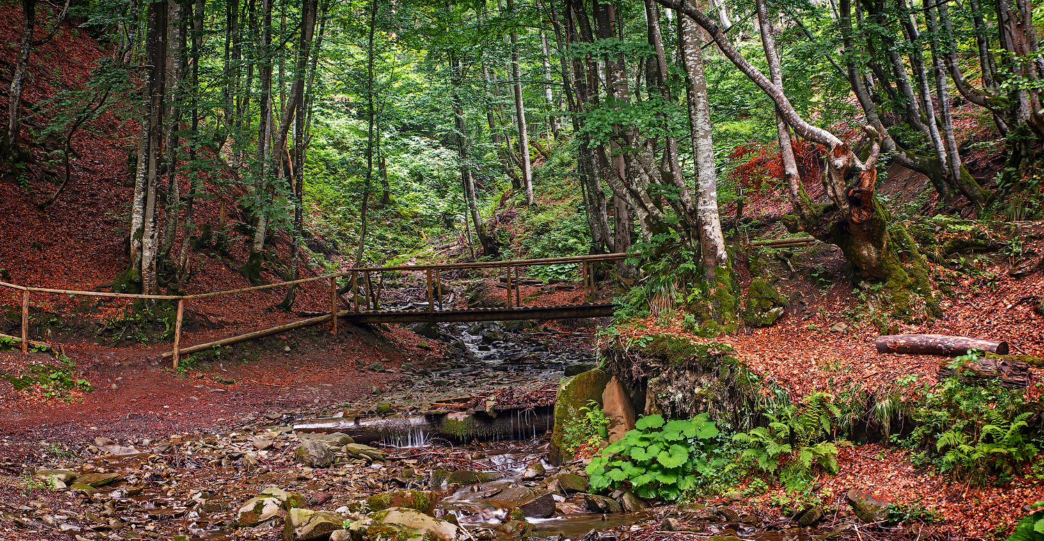 Фотография Закарпатской области леса и фонтана