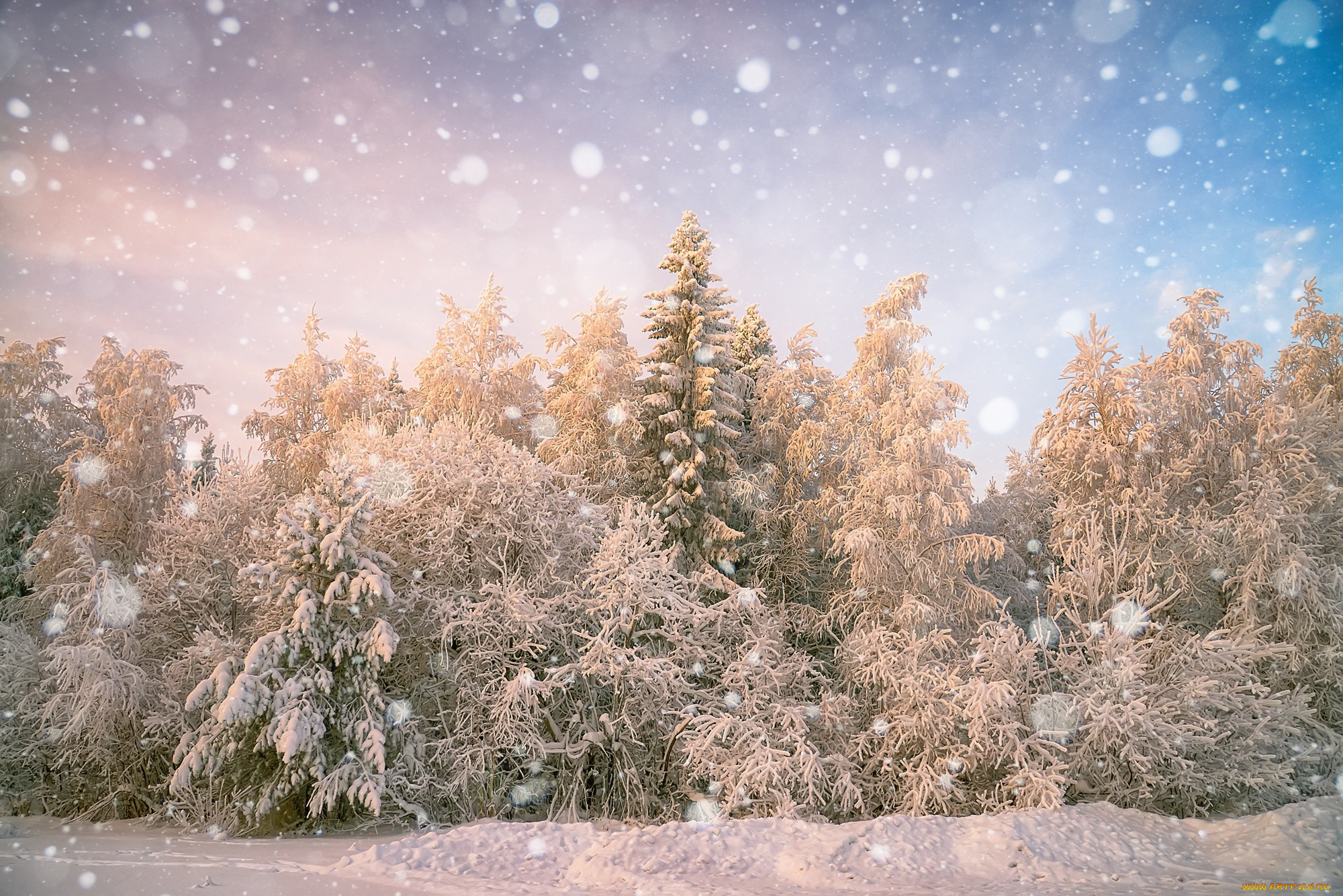 Теплая снежная зима. Зимняя природа. Заснеженный лес. Снег пейзаж. Зима в лесу.