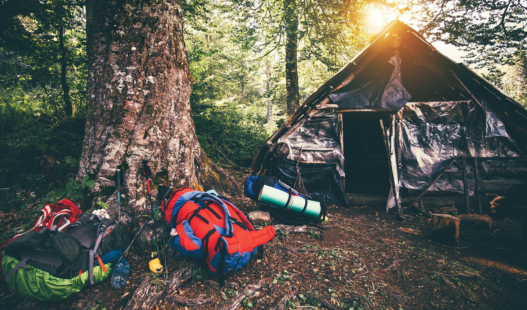 Лагерь в Америке в лесу фото