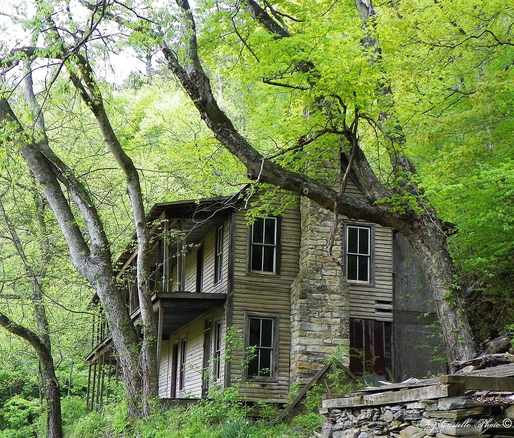 Старый дом в лесу