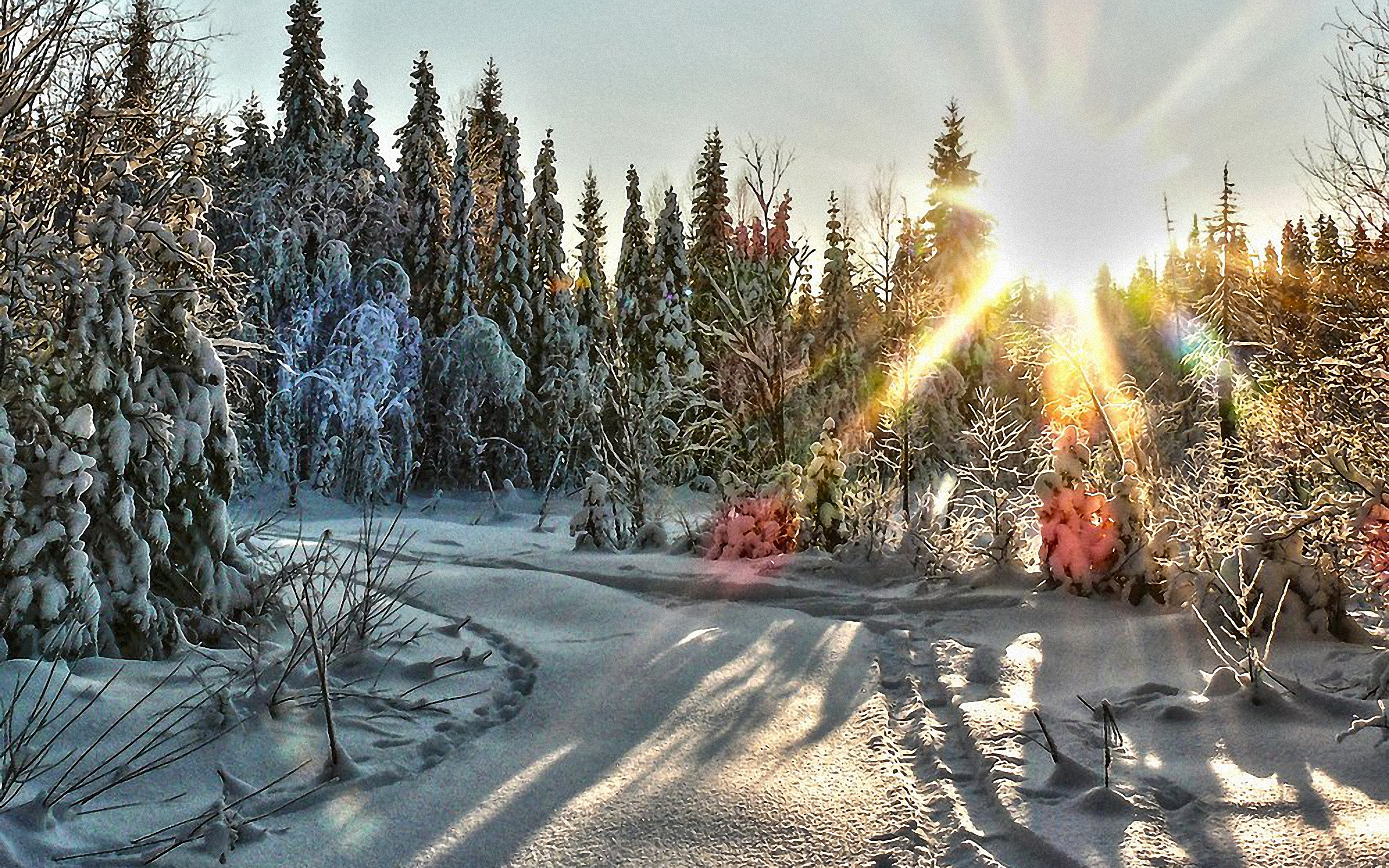 фото день зимнего солнцестояния