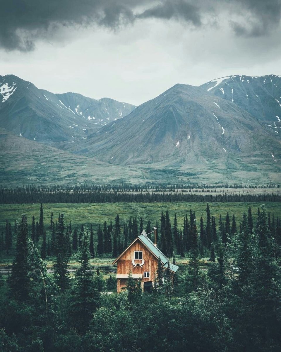 Аляска горы лес