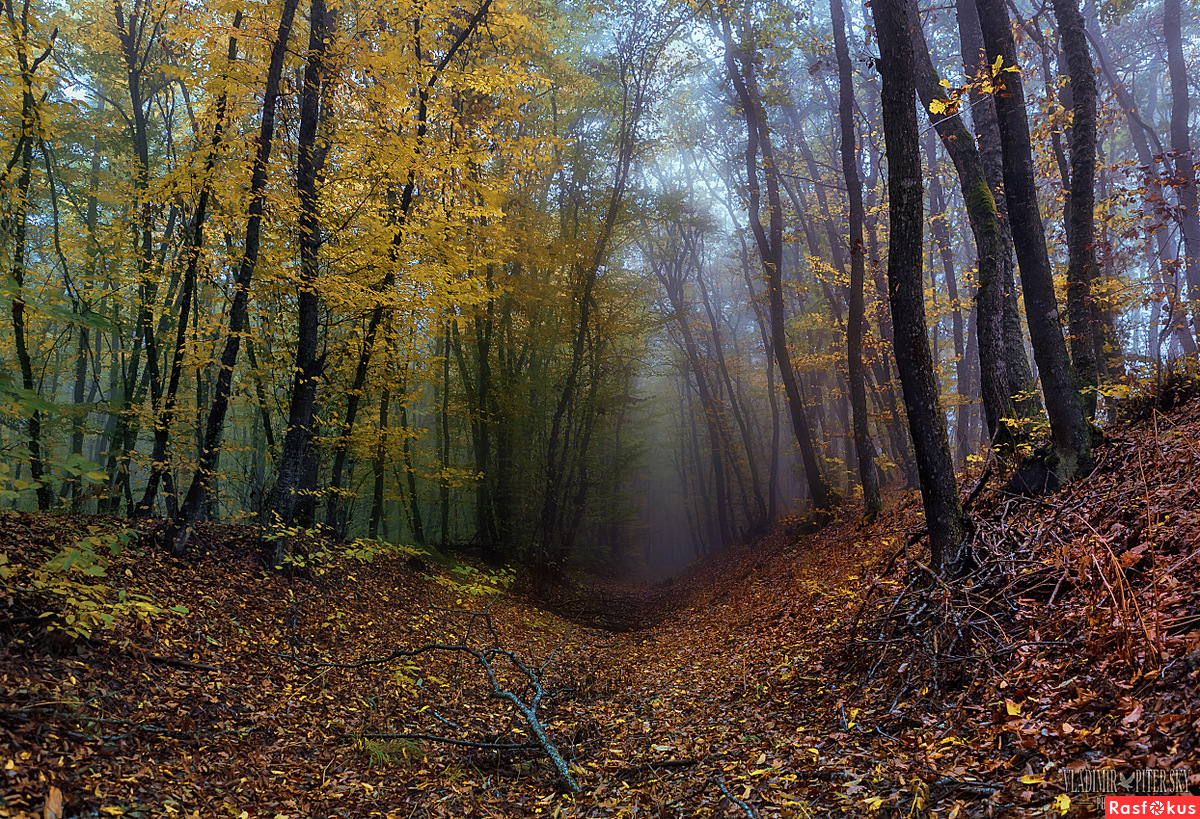 Самурский лес осенью