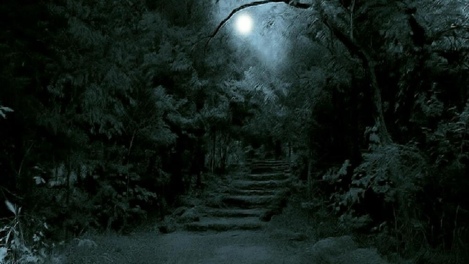 Кругом стало темно. Atmospheric Black Metal лес. Темный лес. Страшный лес. Ночной лес.