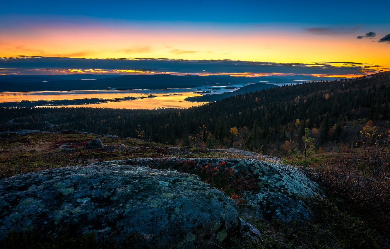 Северная Швеция леса