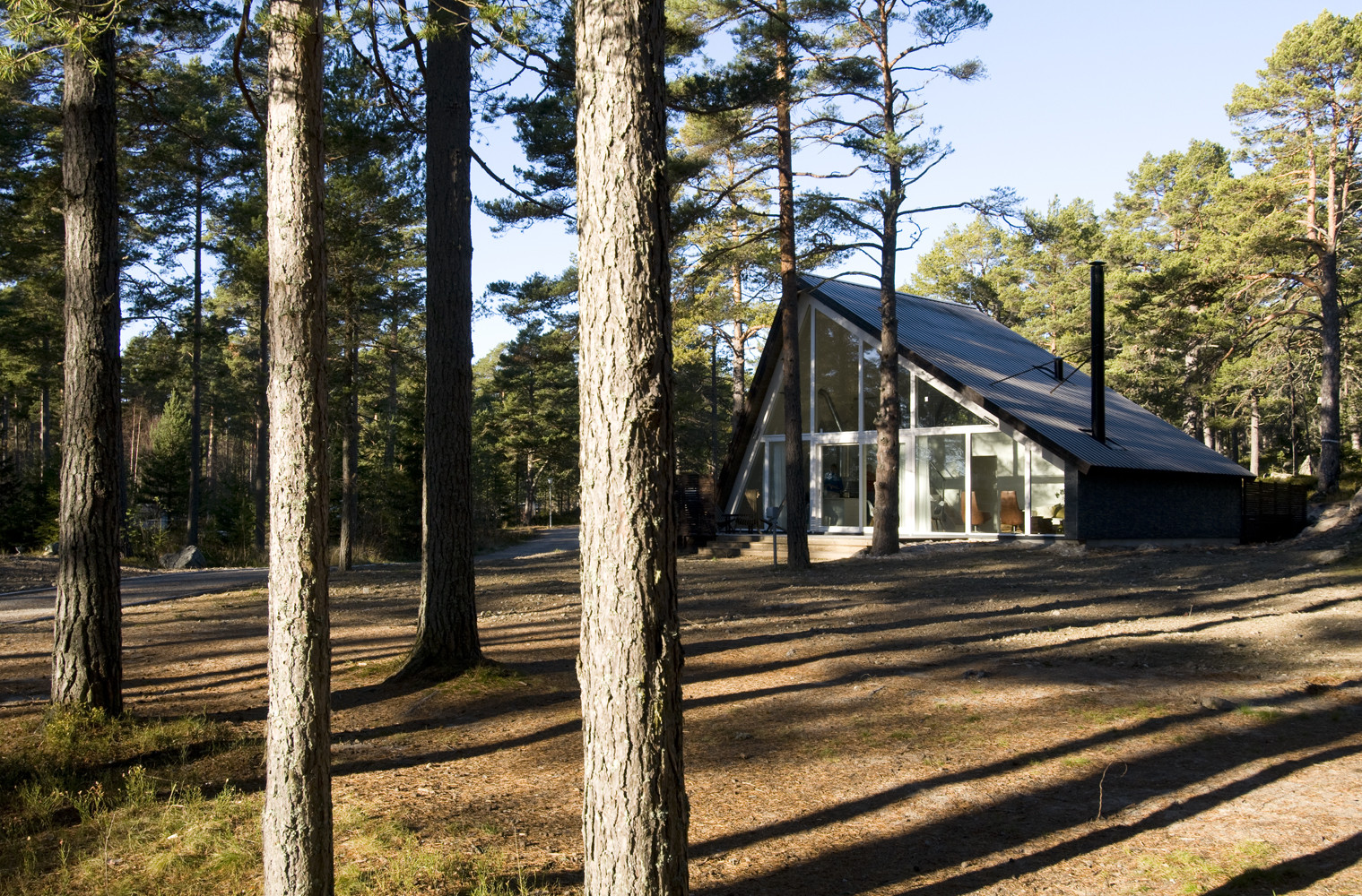 Шведский Лесной дом
