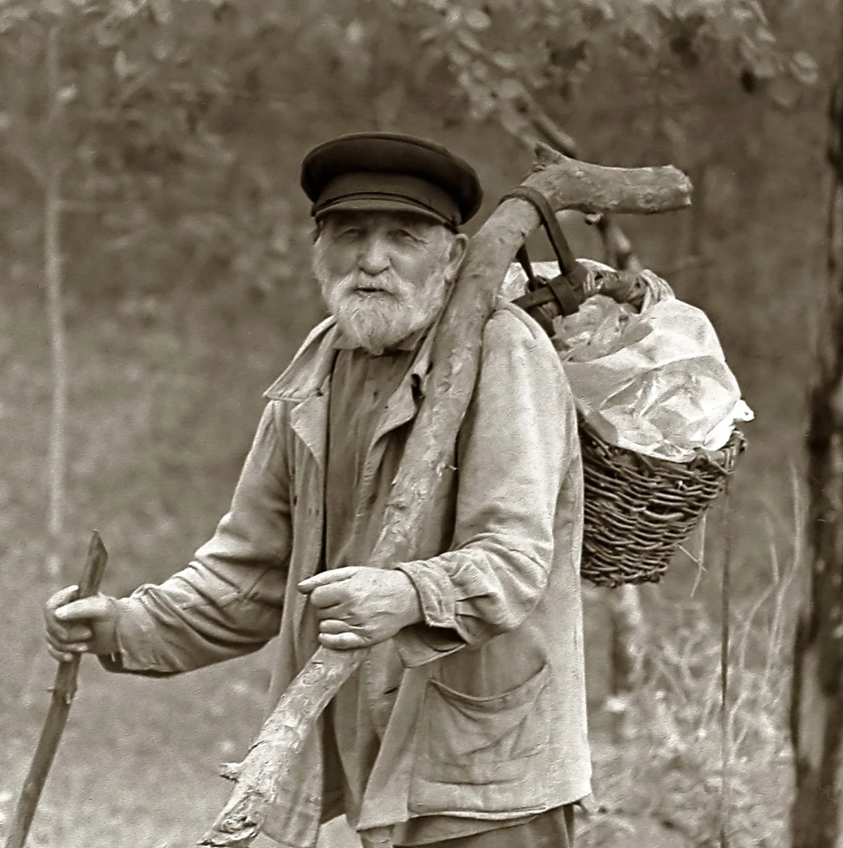 Старый грибник. Старик в лесу. Дед грибник. Дедушка с корзинкой грибов. Впереди всех быстро шел небольшой сухонький старичок