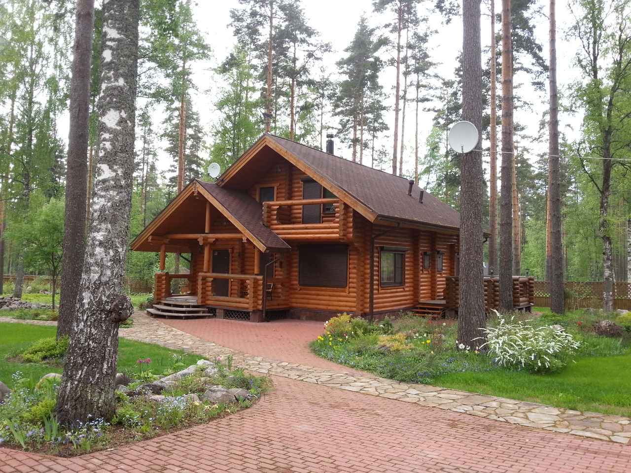 Бревенчатый домик в Сосновом лесу