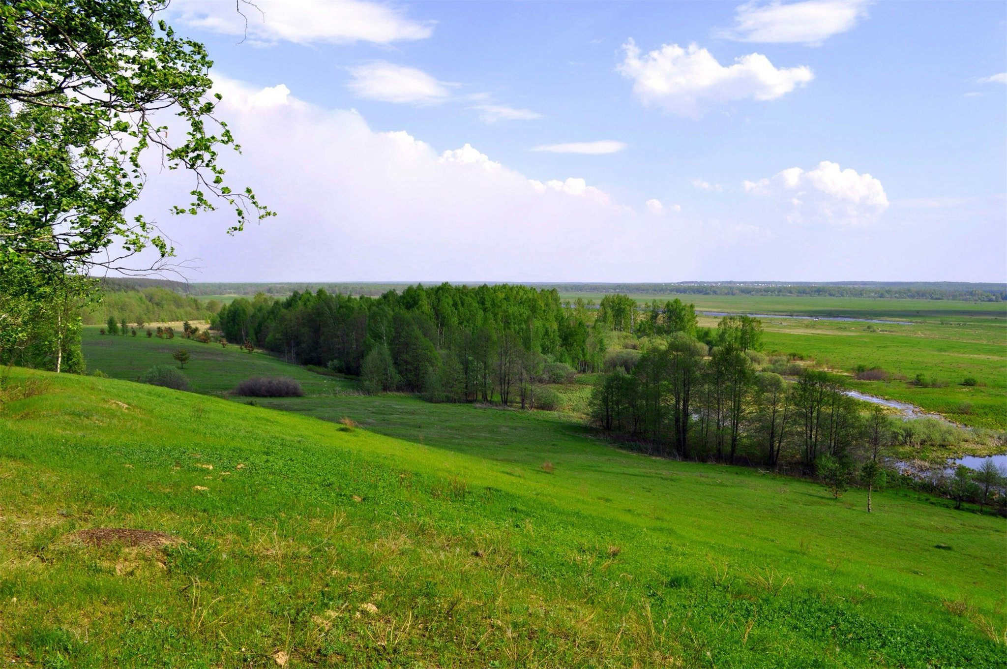 Холмистая равнина Владимирской области