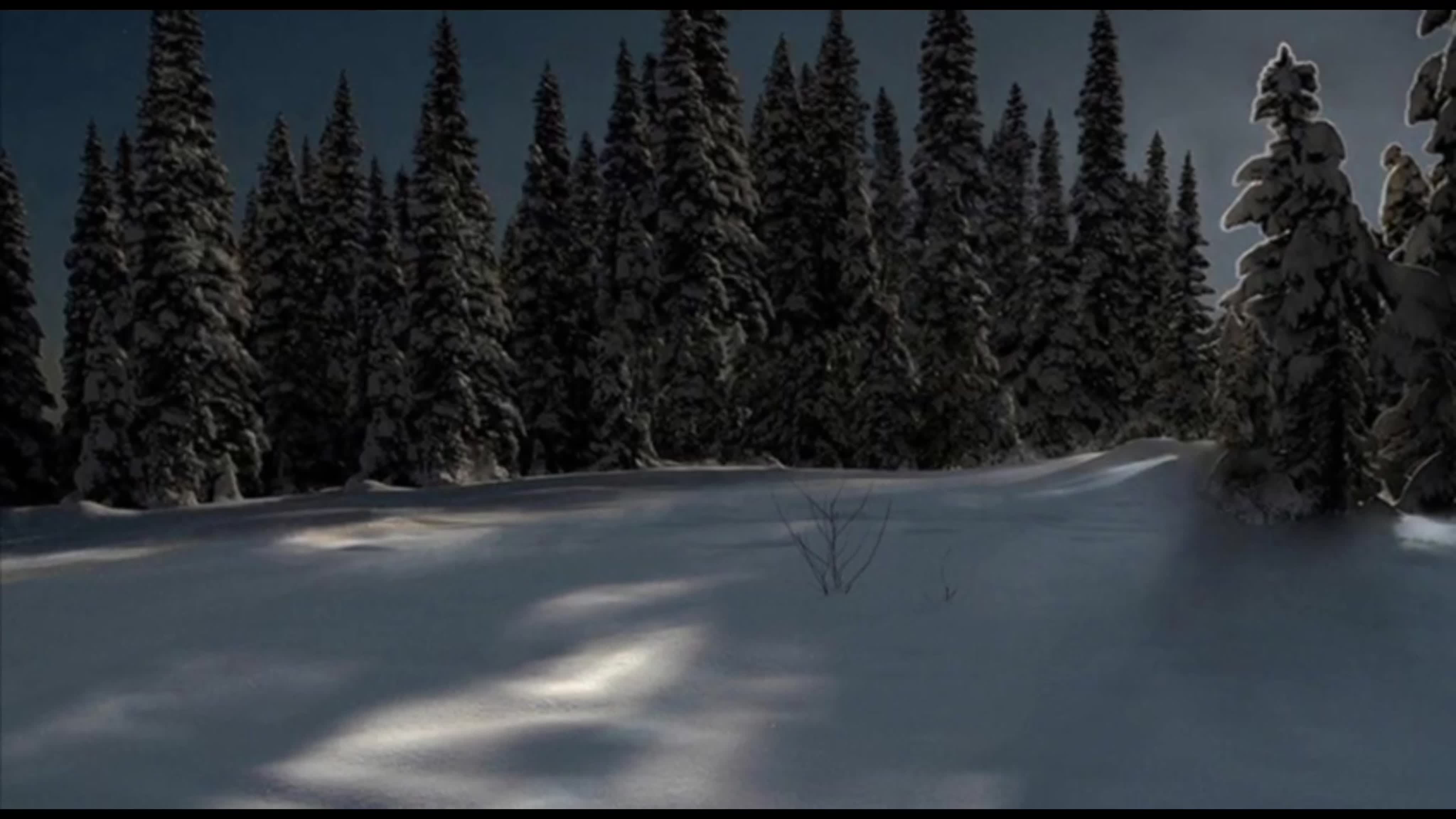 Зимняя ночь. Зимний лес ночью. Заснеженный лес ночью. Ночной снежный лес. Лес снег ночь.