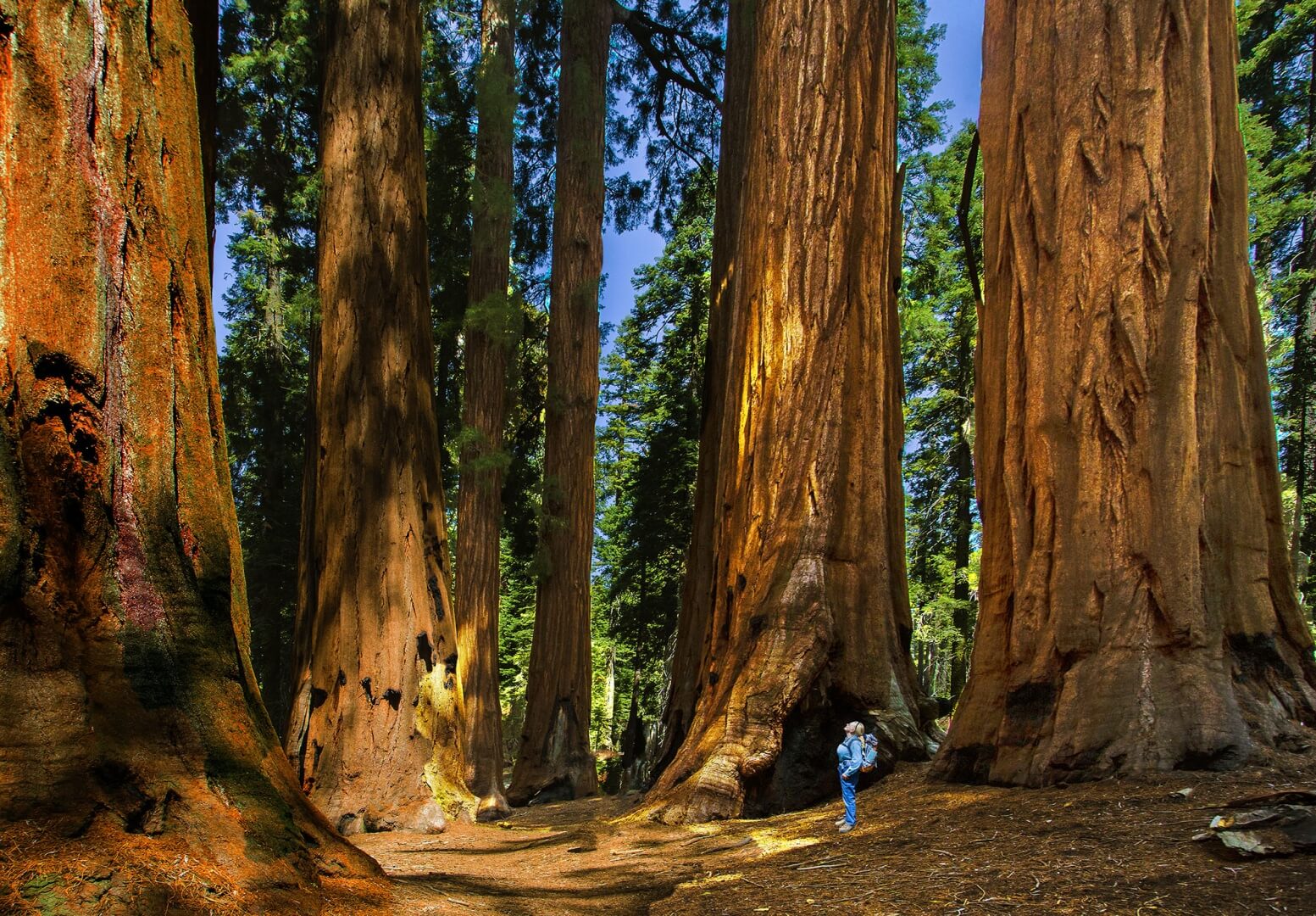 Национальный парк Секвойя (Sequoia National Park)