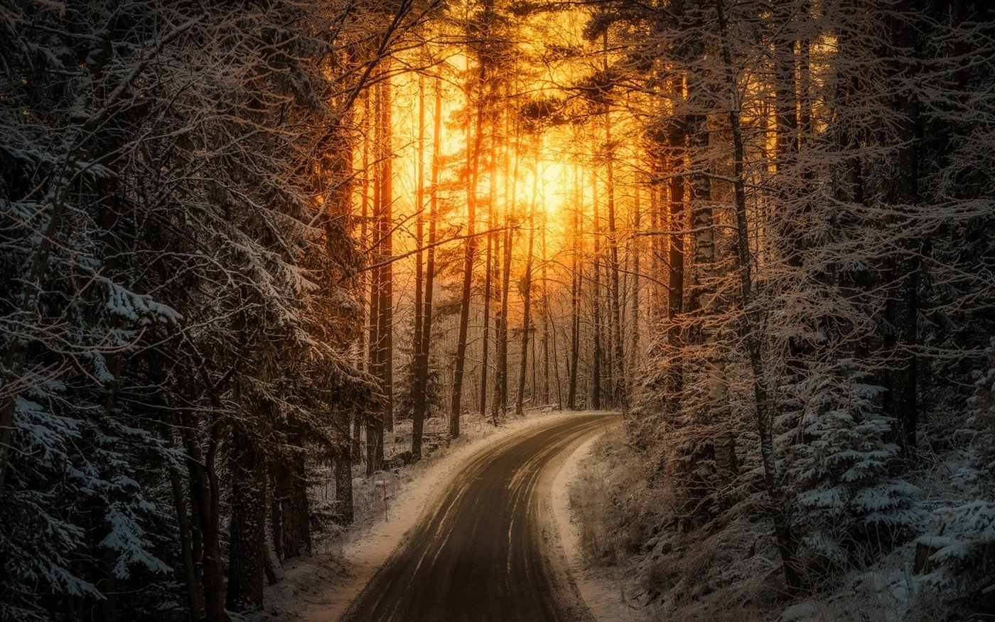 Заснеженная дорога в лесу
