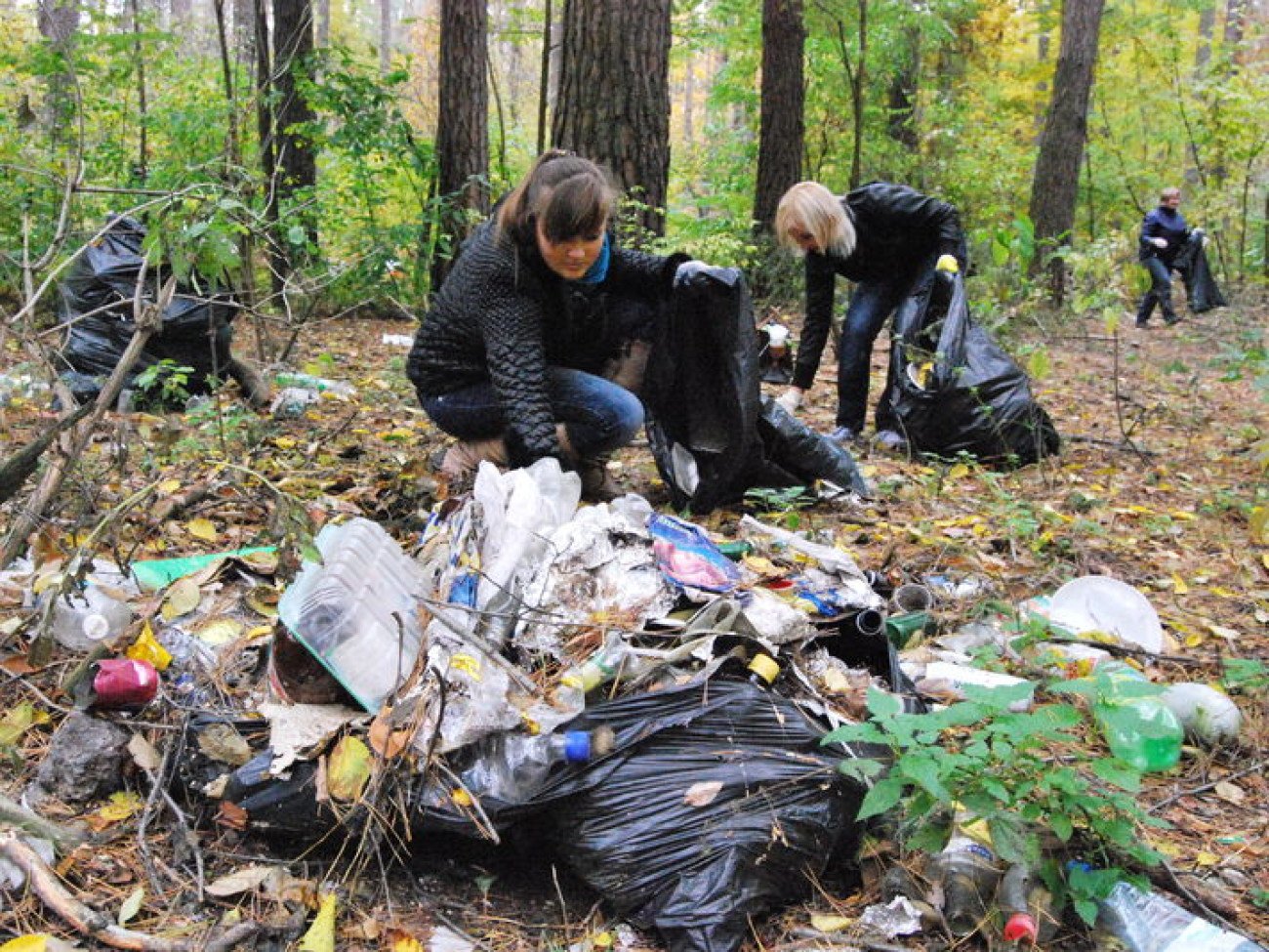 Собранный мусор в лесу