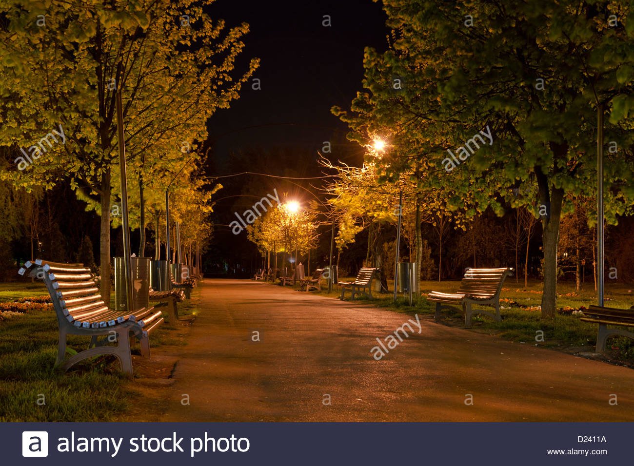 Город Смоленск парк аллея ночью