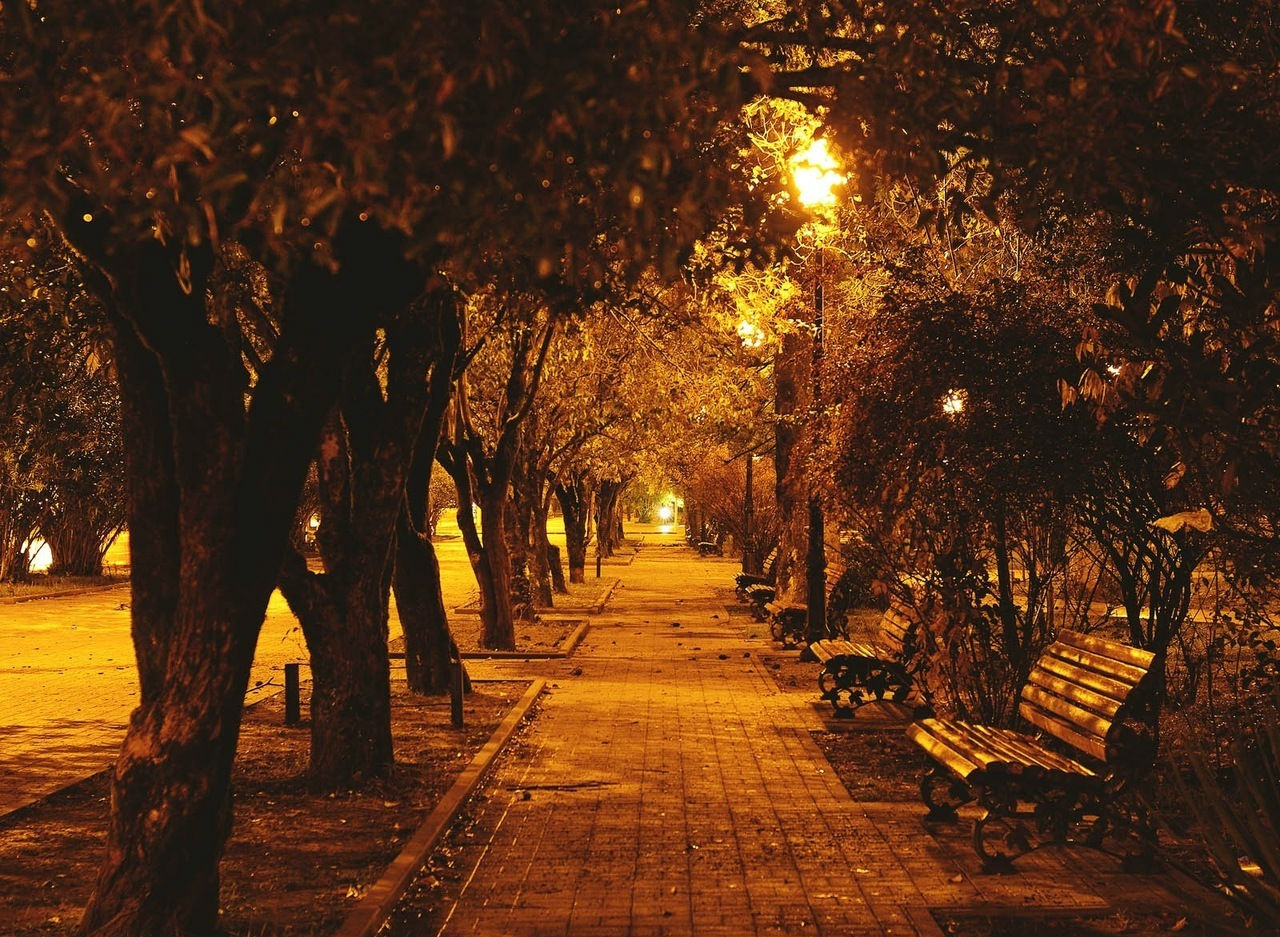Осенний вечер в парке