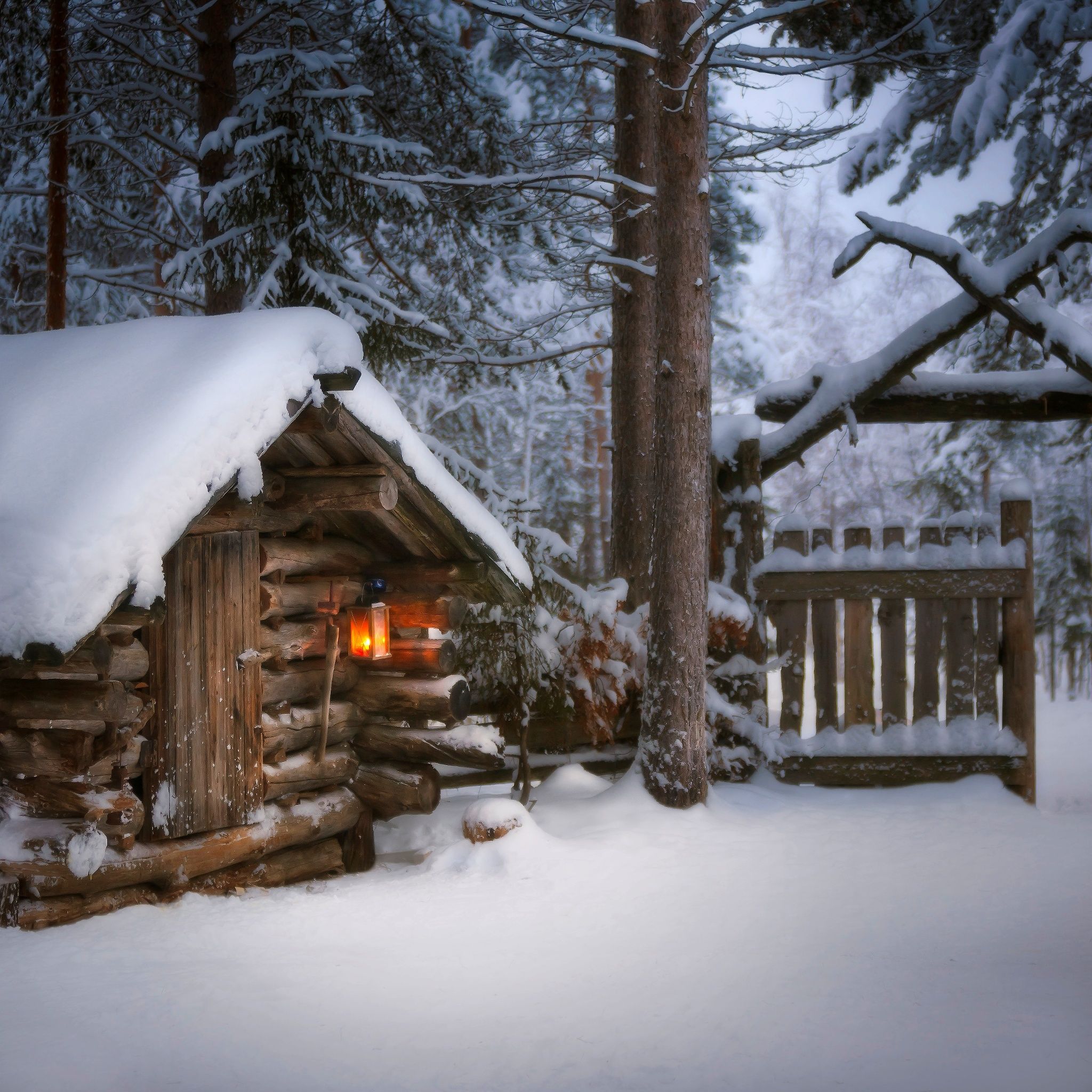 Деревянный дом снег. Изба зимой. Зимняя избушка. Избушка в лесу зимой. Избушка в лесу.