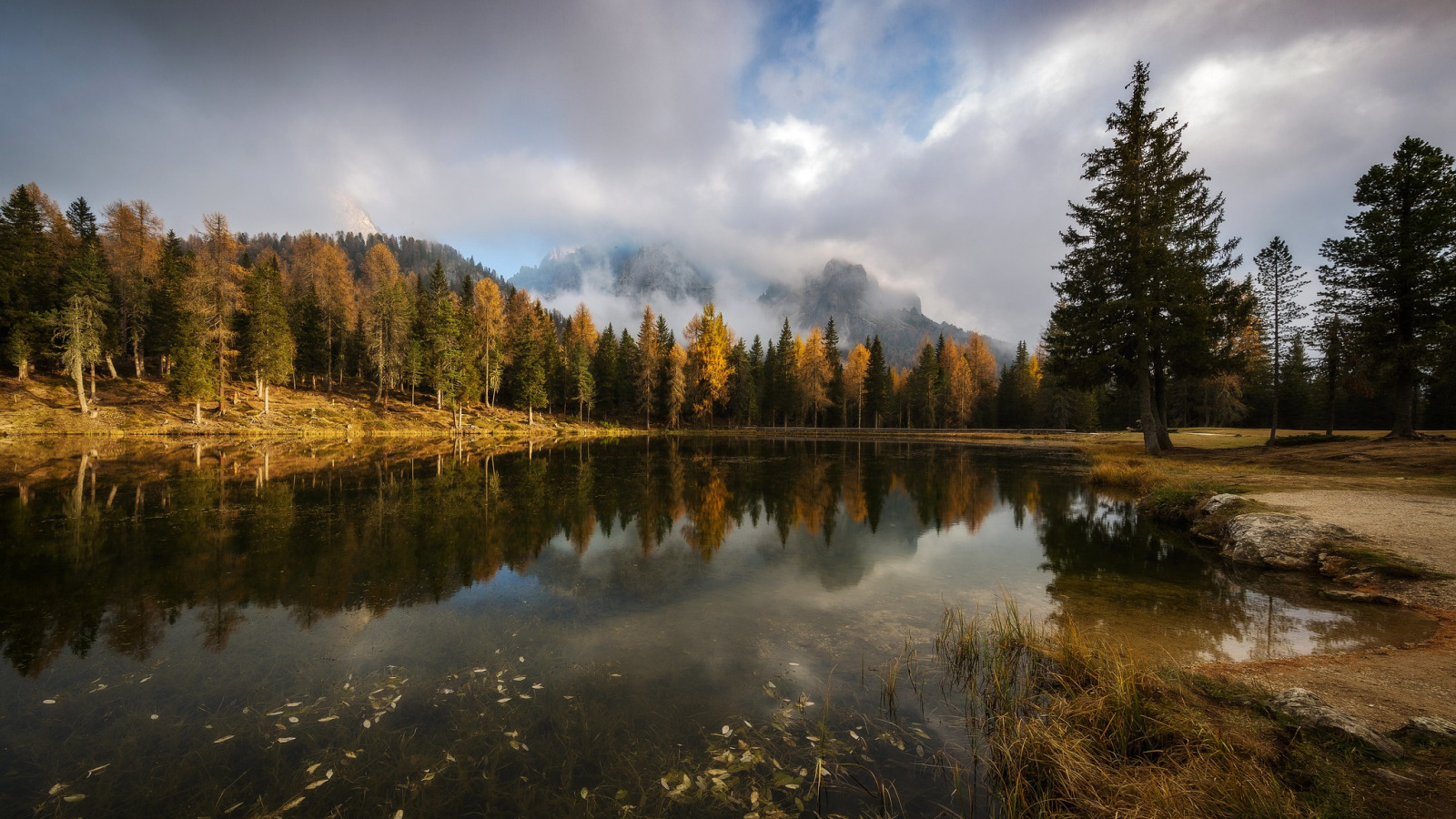 Осень лес озеро