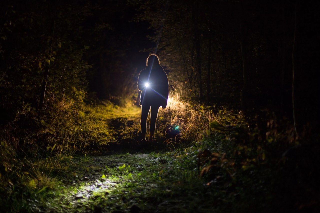 Человек в лесу ночью