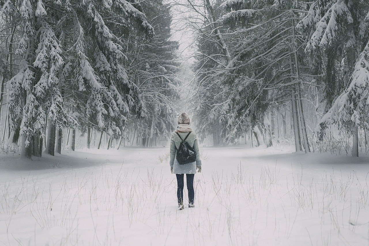Человек в зимнем лесу