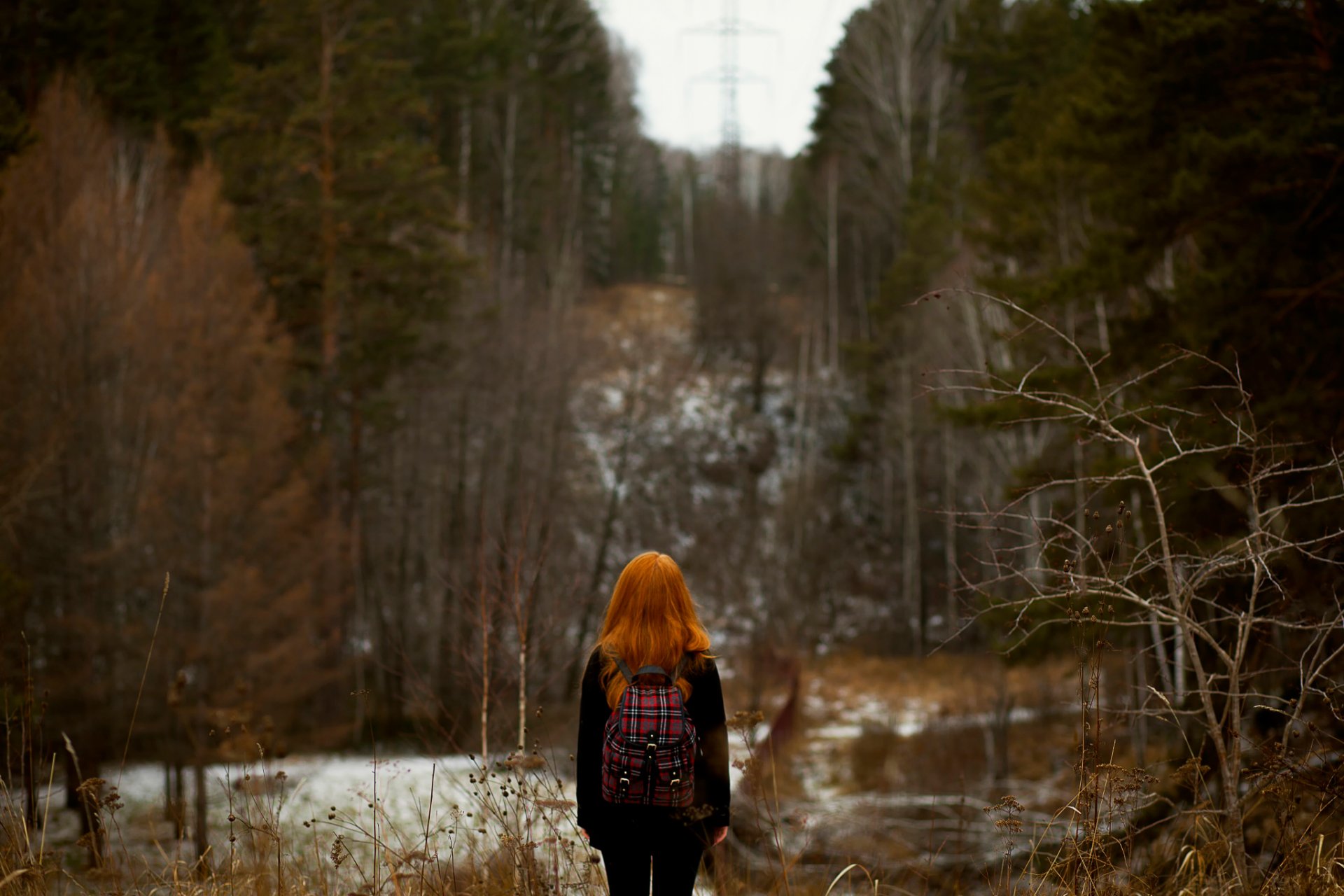 Девушка в лесу фото со спины
