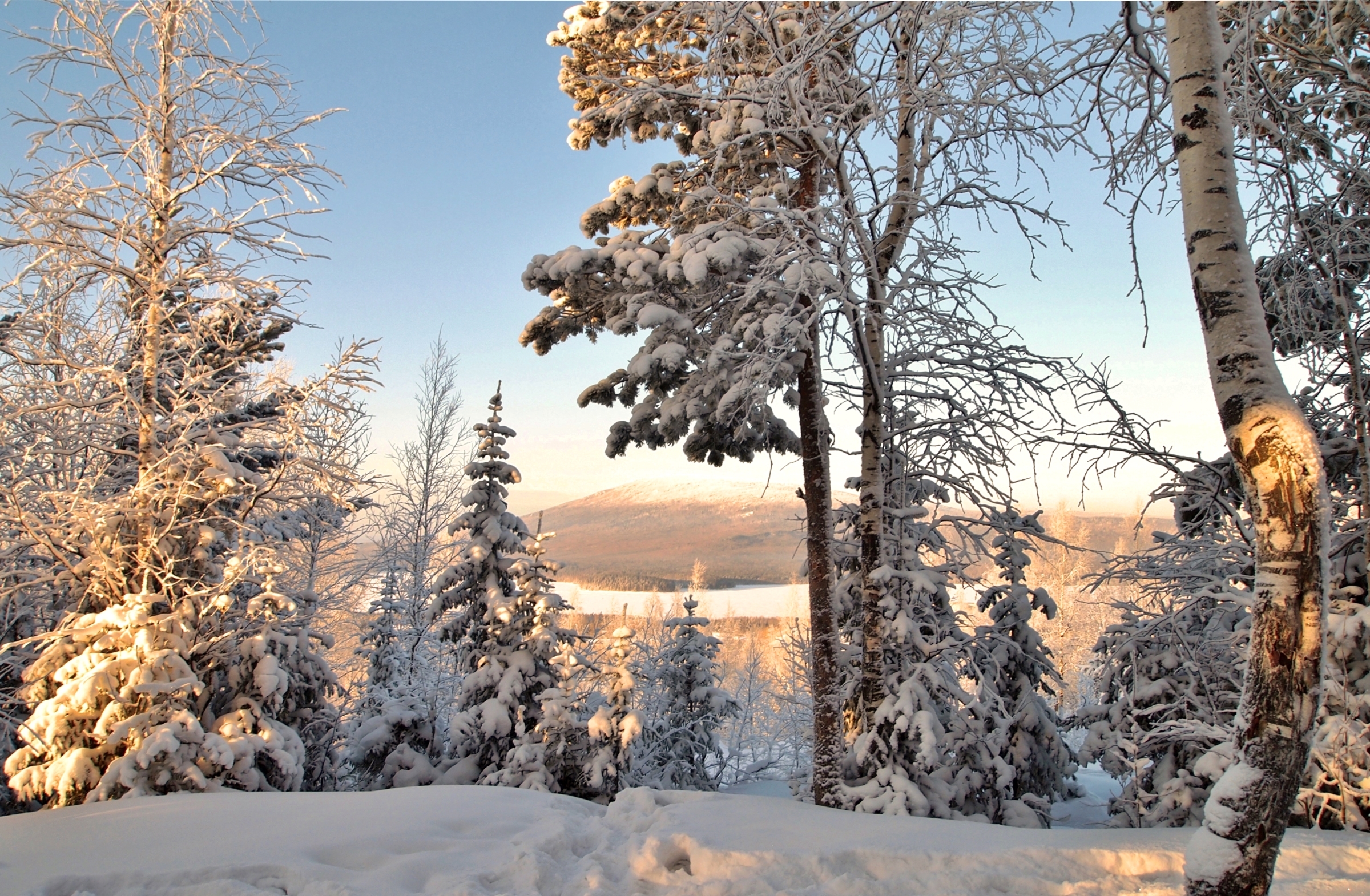 Русская природа зима