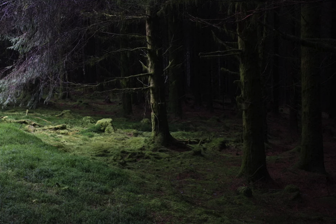 Ведьмин лес Англия