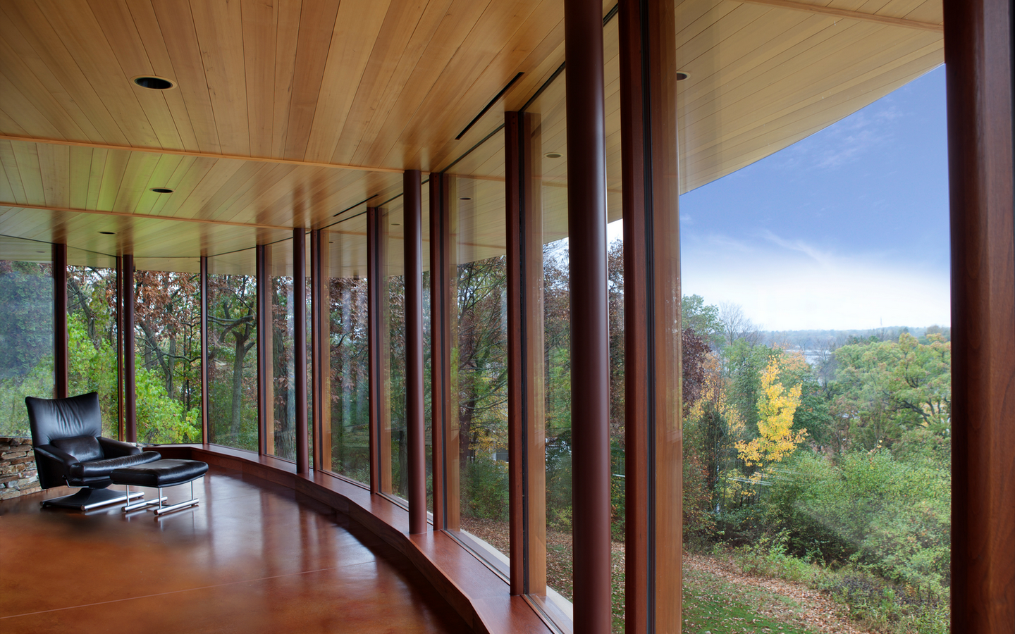Дом в лесу с панорамными окнами фото