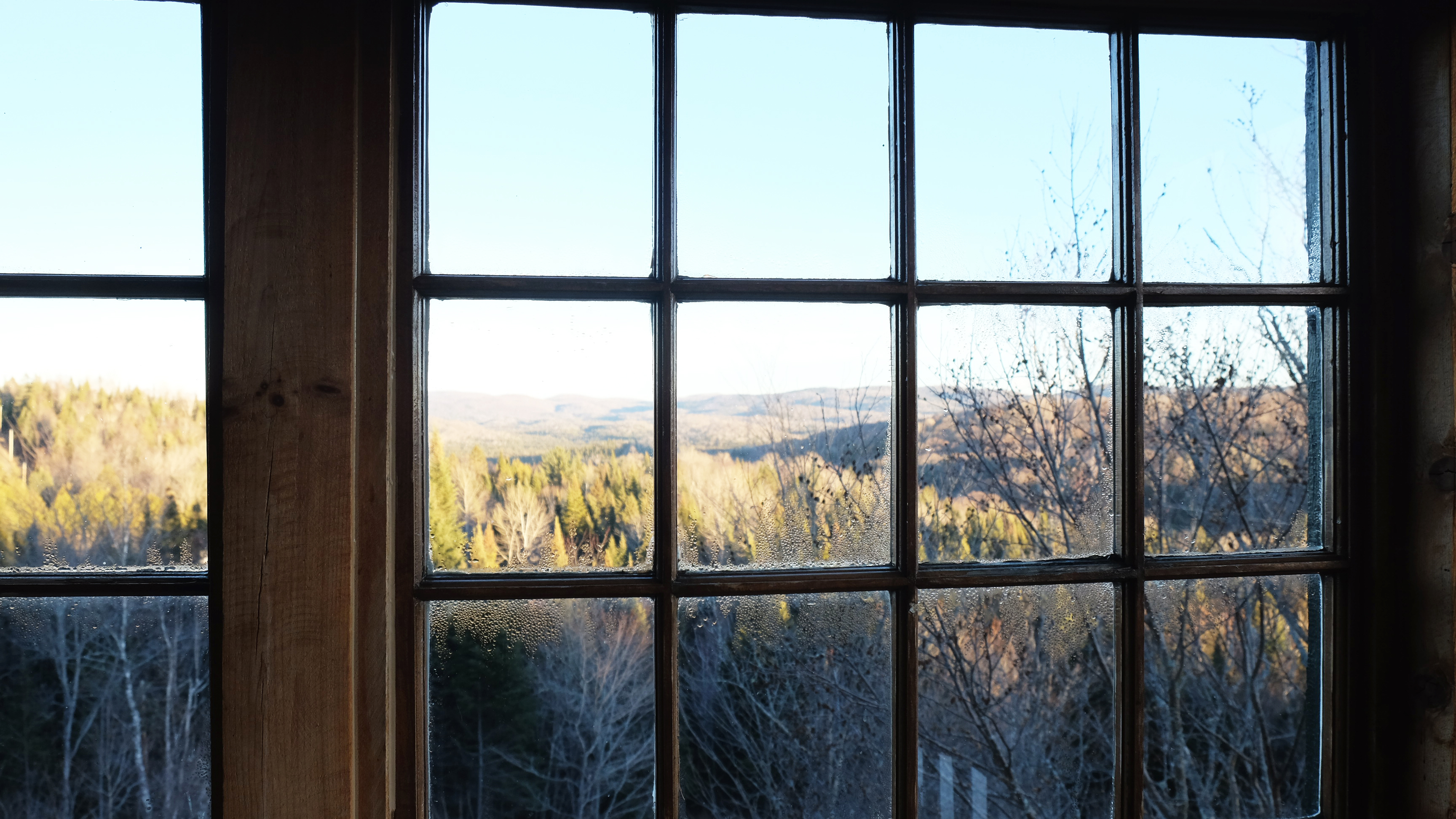 Купить окно видное. Вид из окна. Пейзаж в окне. Вид из окна на лес. Зимний вид из окна.