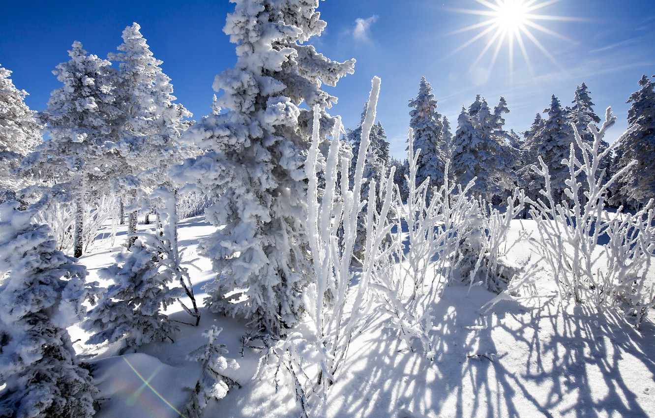 Белоснежная зима и солнце