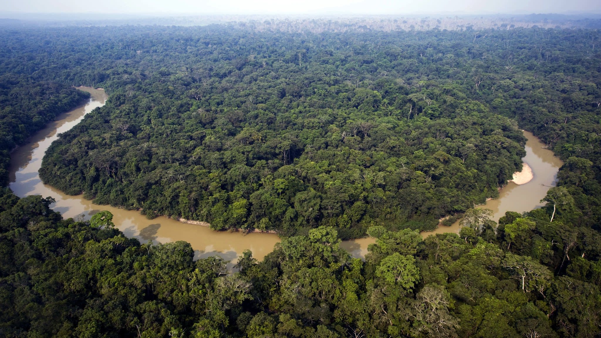 Леса центральной Амазонии Бразилия