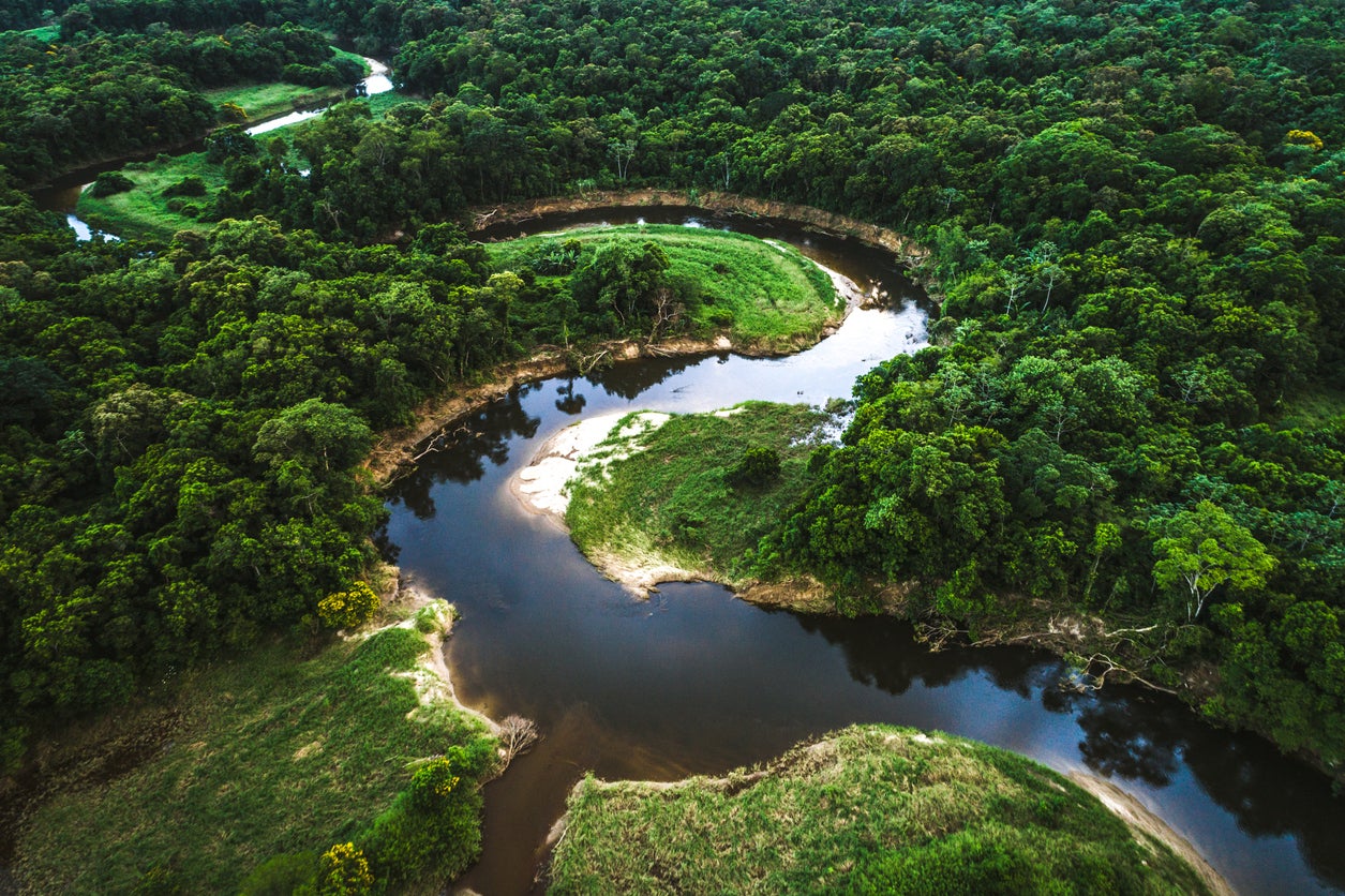 Амазонас Бразилия