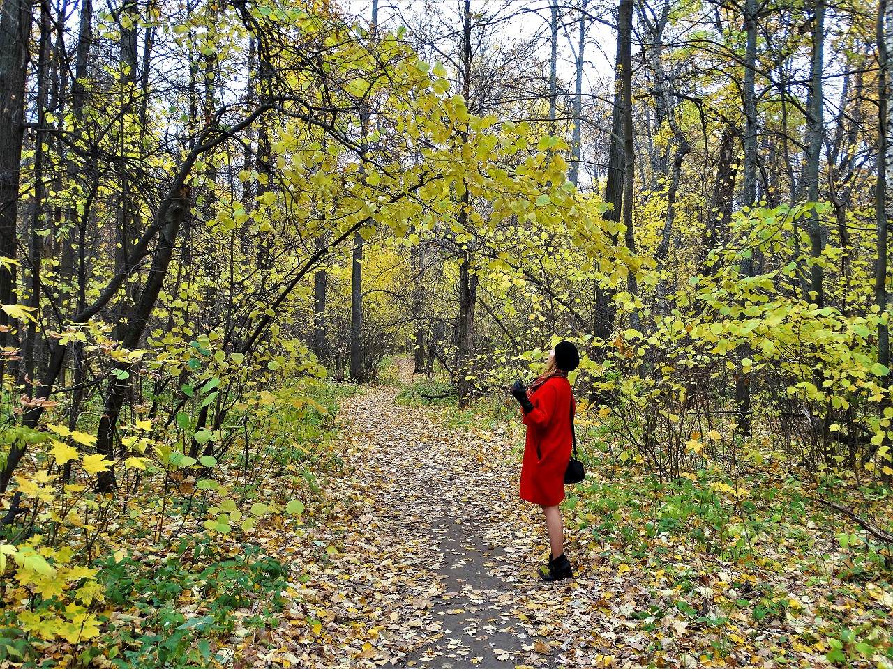 Тропа далеко видна. Лесная прогулка. Прогулка по осеннему лесу. Прогулки по лесу. Прогулка по лесу осенью.