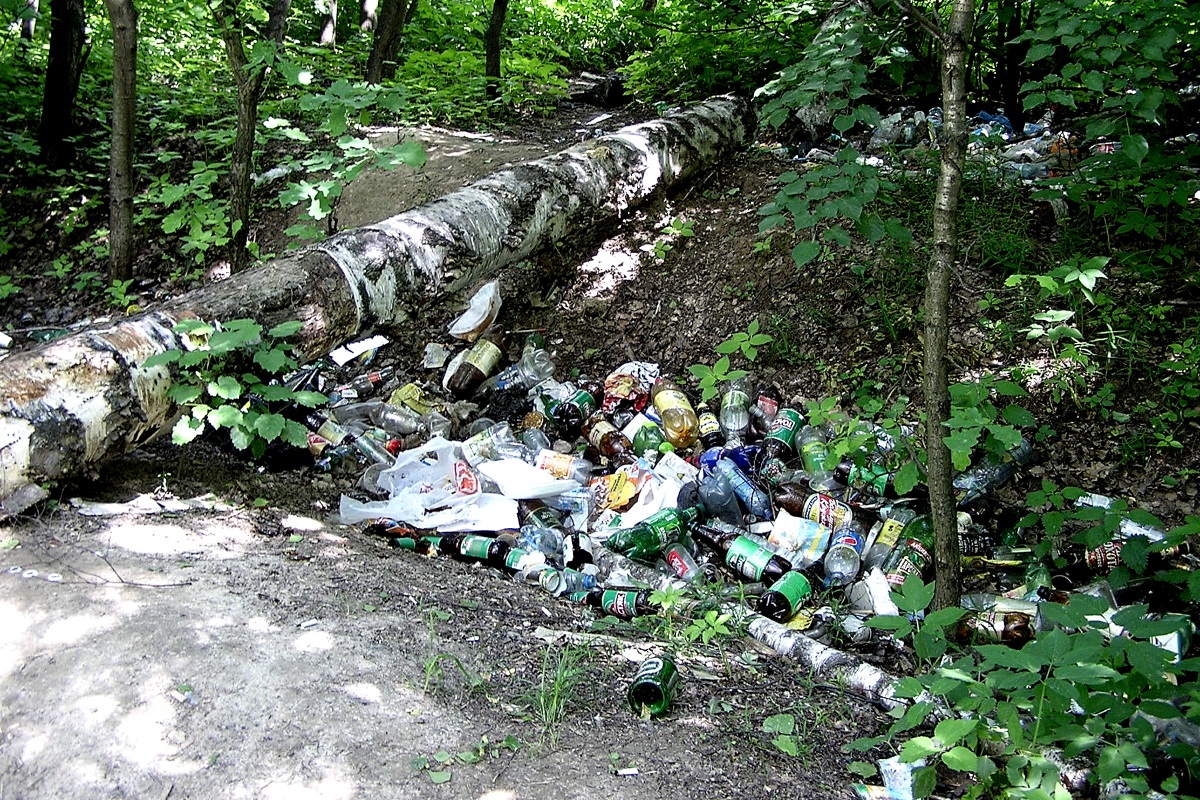Пластик в лесу