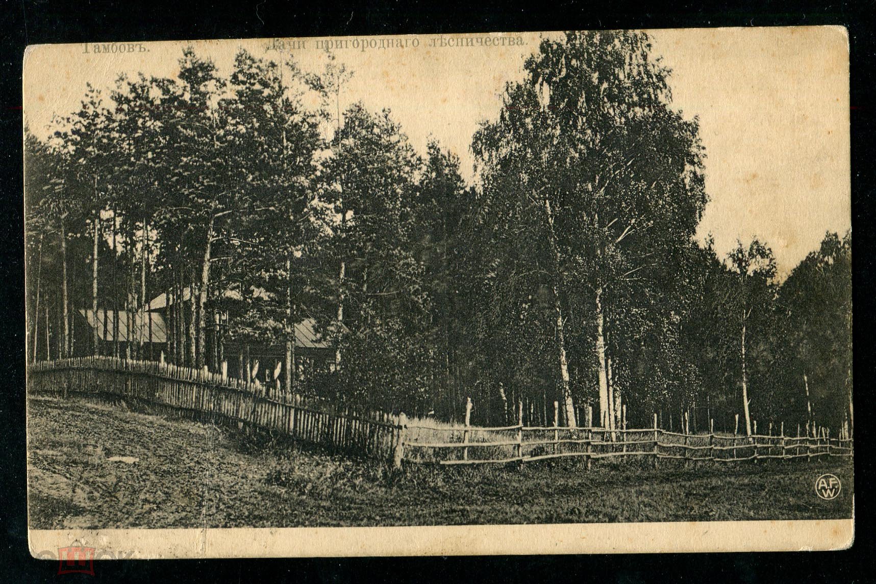 Пригородный лес Тамбов история