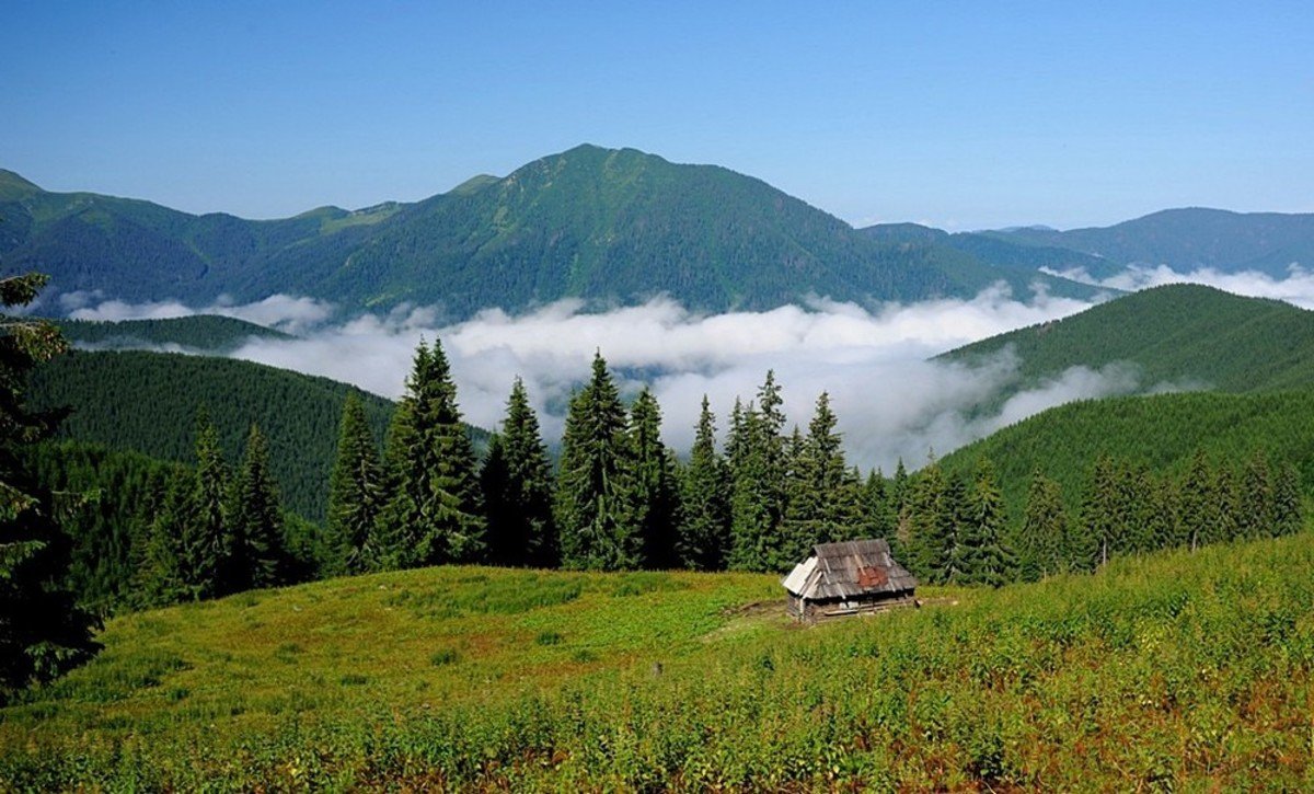 Карпатские горы Украина
