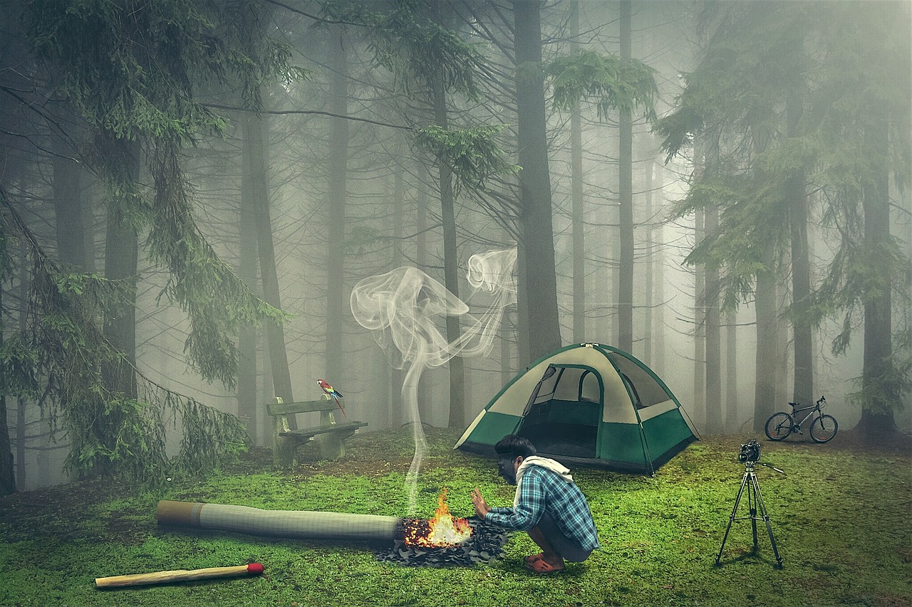 Палатка в еловом лесу