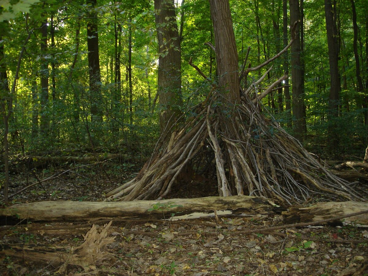 Как в лесу построить шалаш
