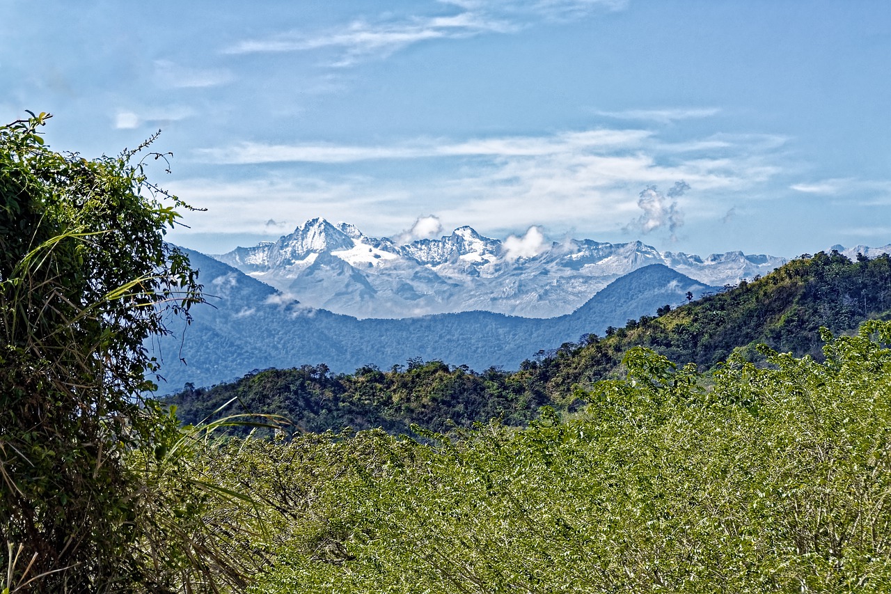Страна где море горы и субтропический климат. Кордильеры Мексики. Центральная Кордильера (Колумбия). Горные субтропики Бразилии. Субтропический горный пояс Непал.