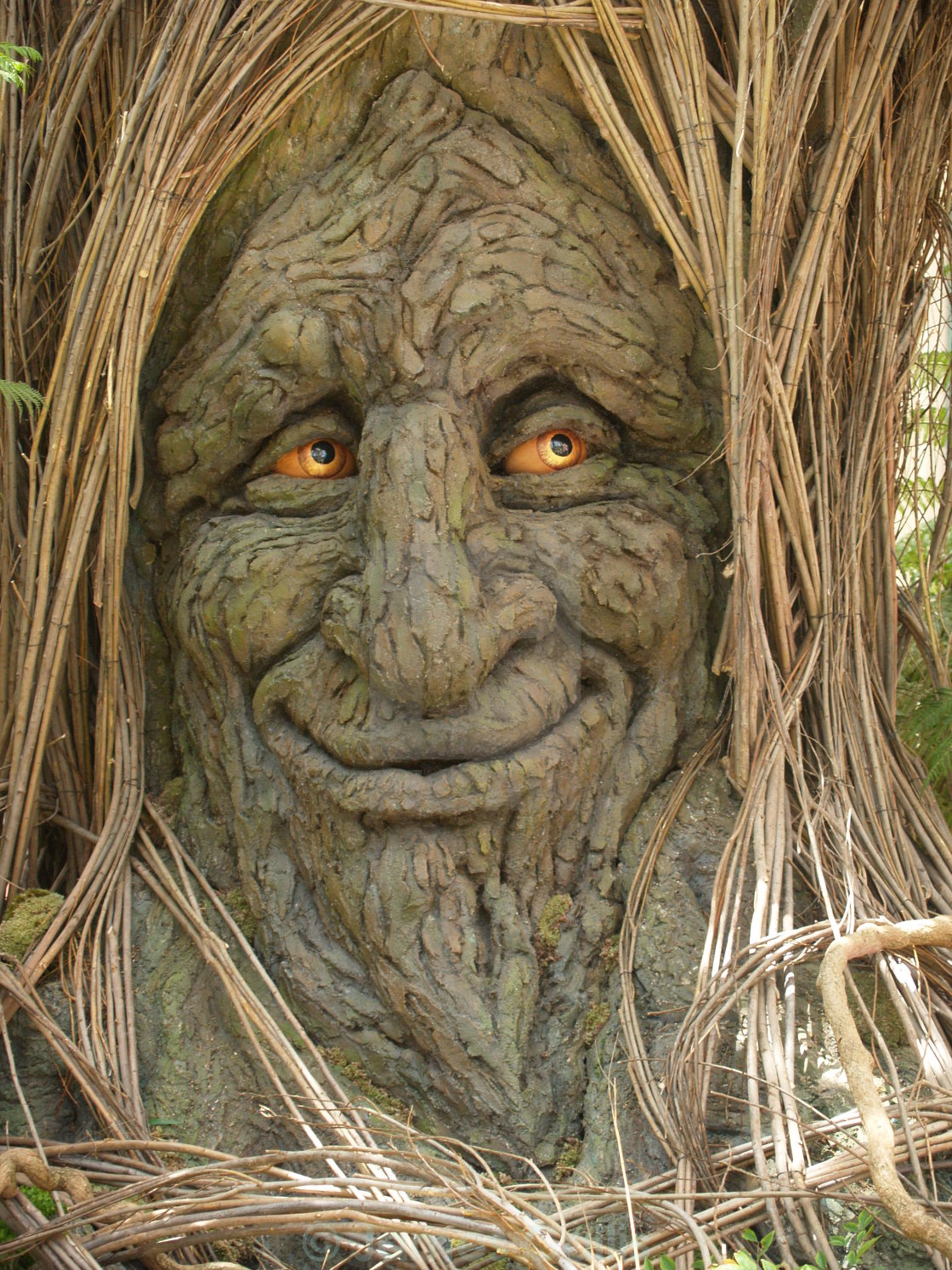 Сказочное дерево с лицом