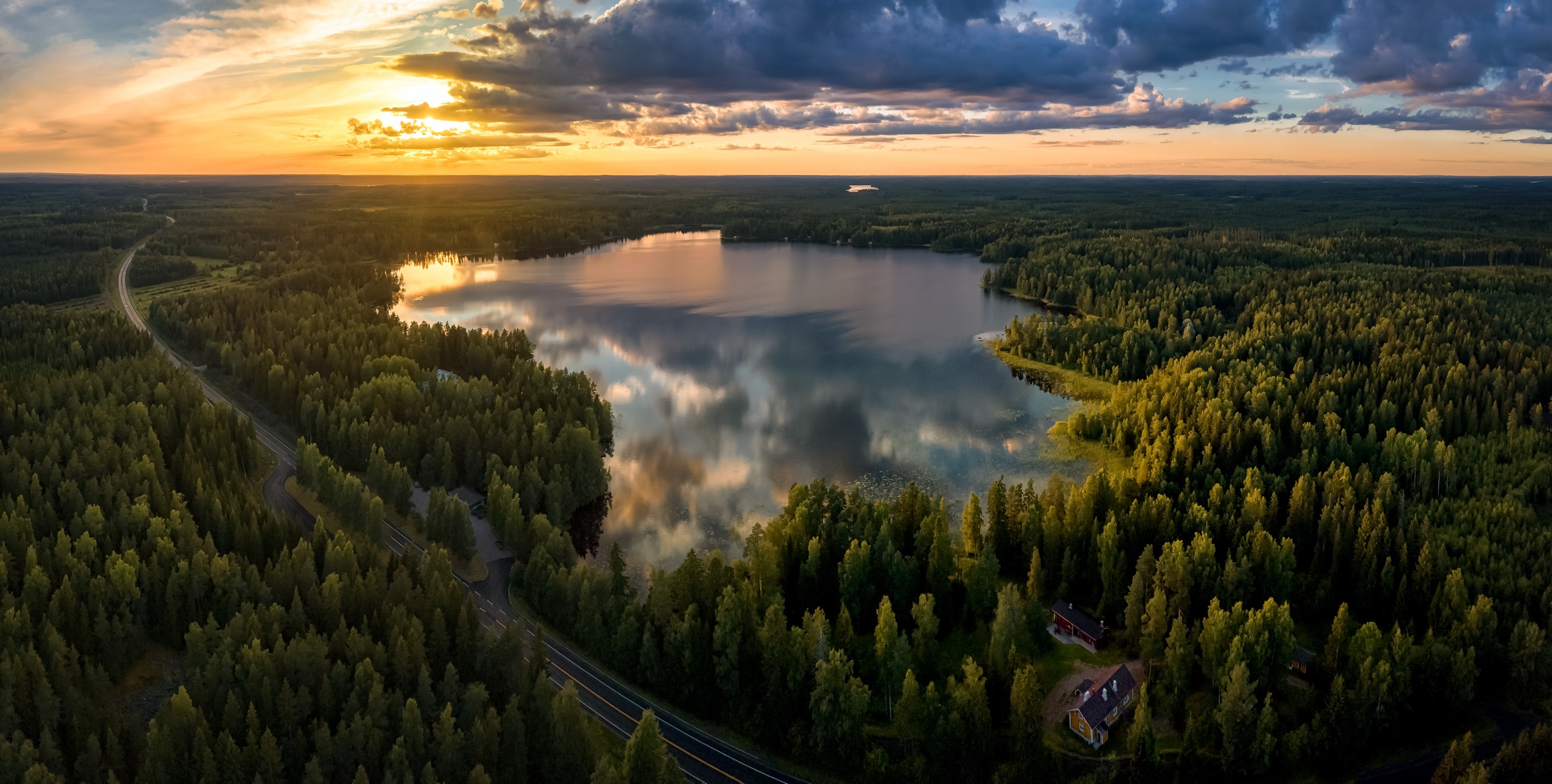 Финляндия лес