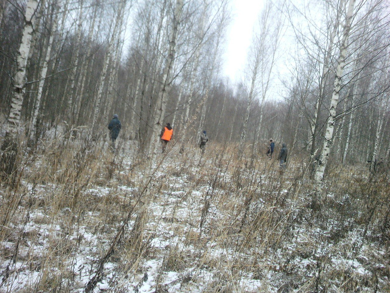 Медведевский лес Орел зимой