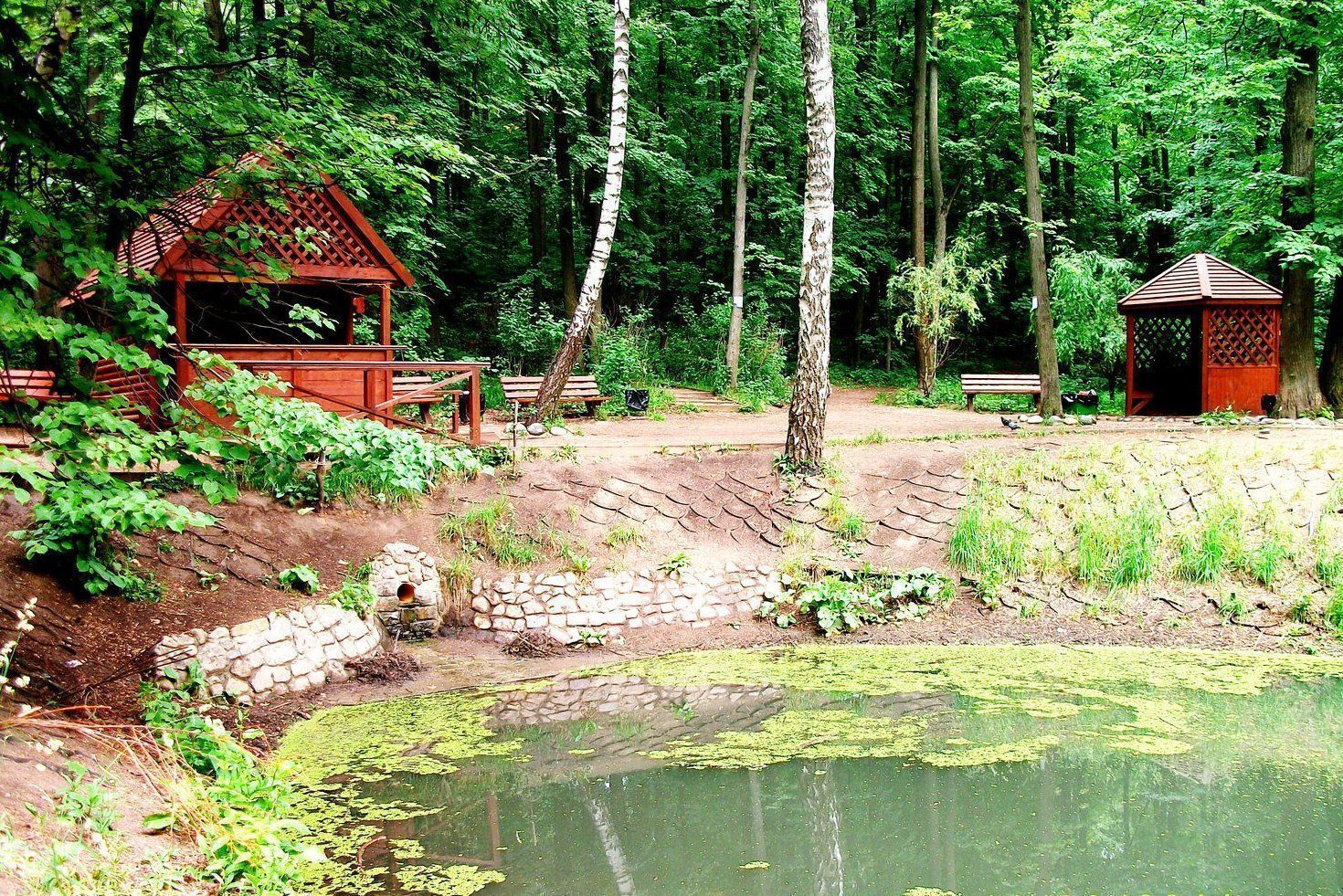 Природно-исторический парк «Битцевский лес»