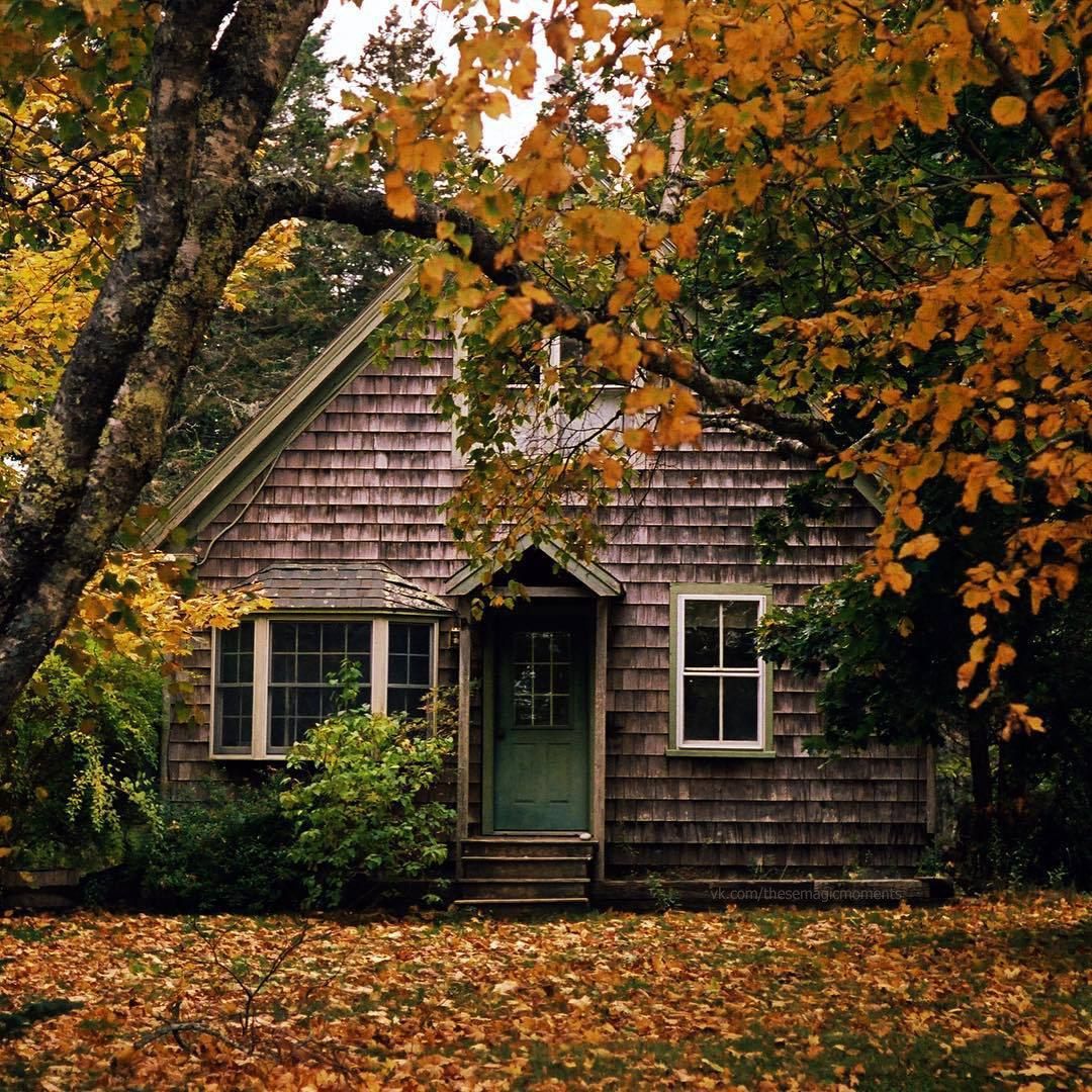 домик в лесу осенью фото