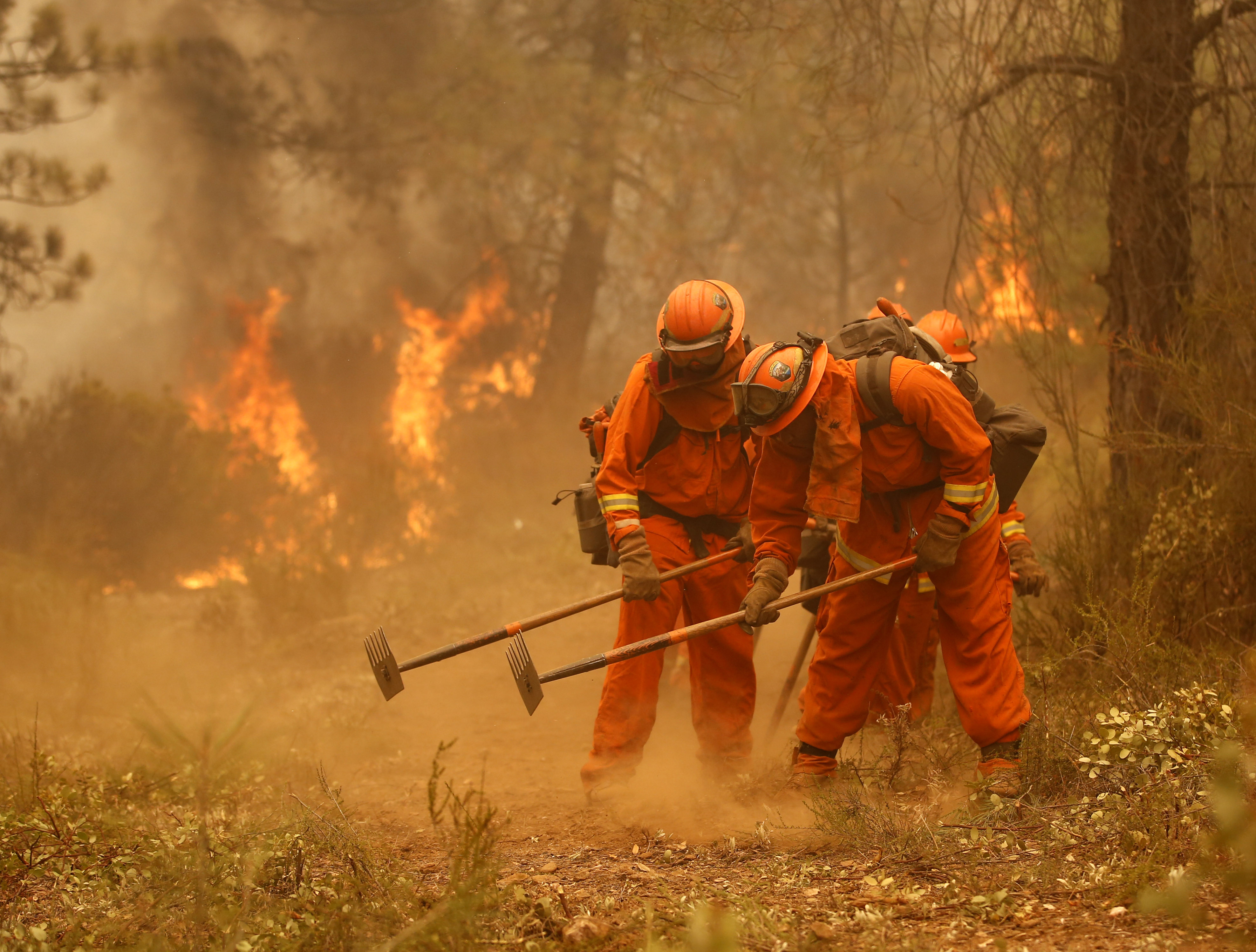Лесные пожары решения. Пожарники тушат Лесной пожар. Лесные пожарные. Пожарники в лесу. Тушение пожара леса.